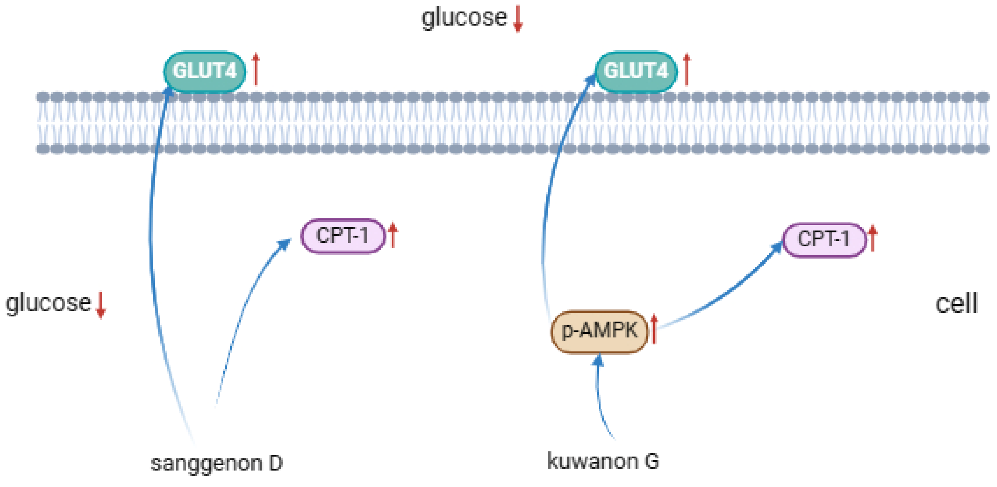 Preprints 151867 g009