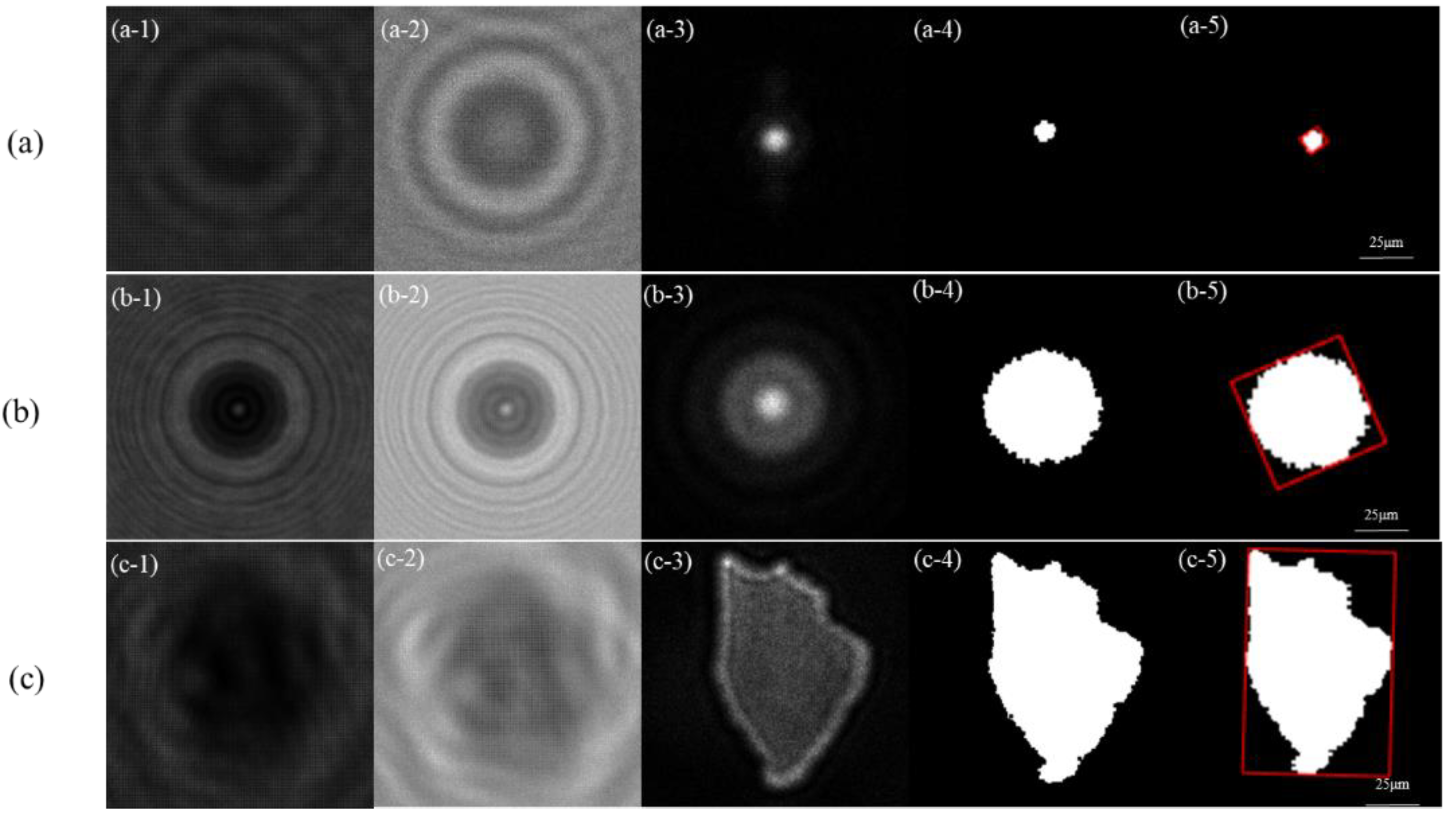 Preprints 230981 g002