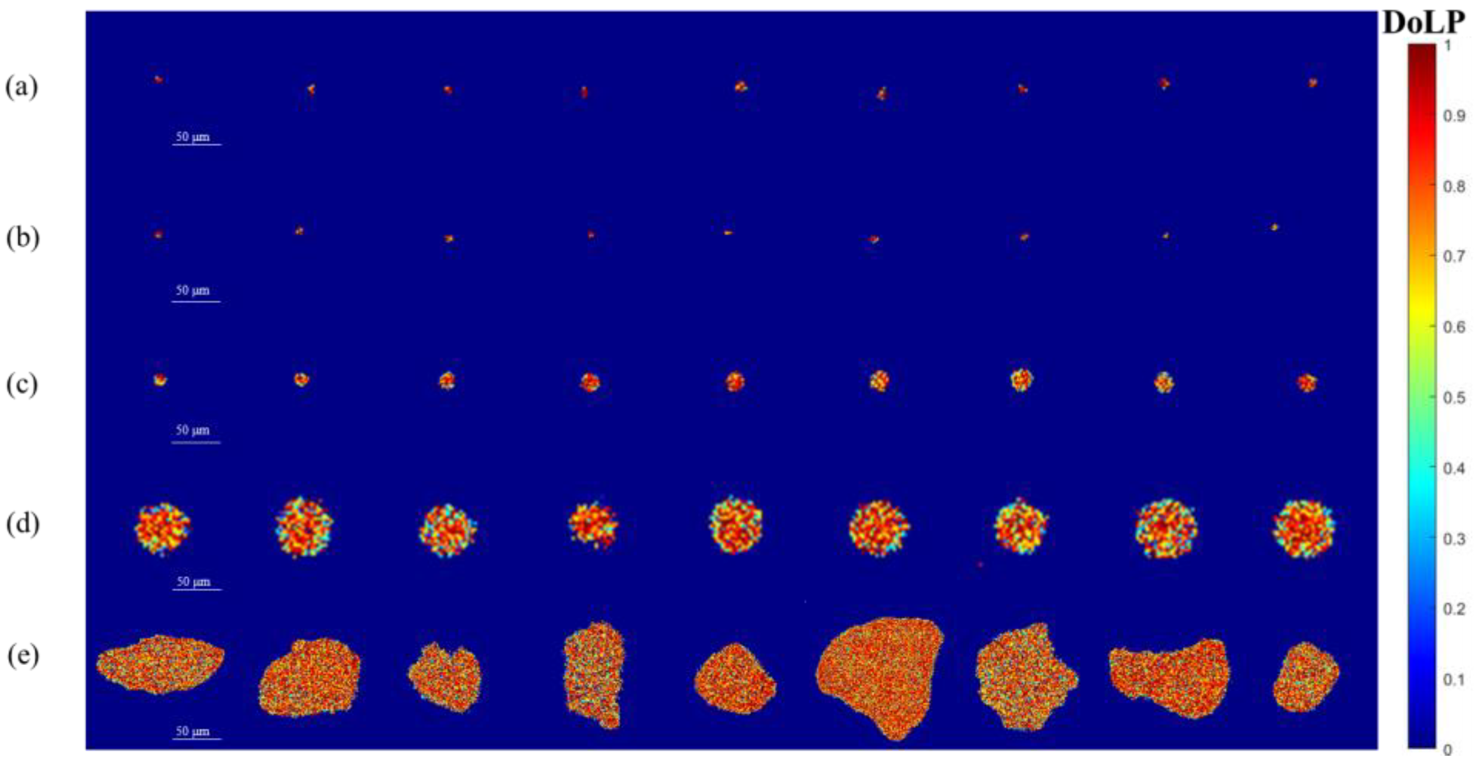 Preprints 230981 g005