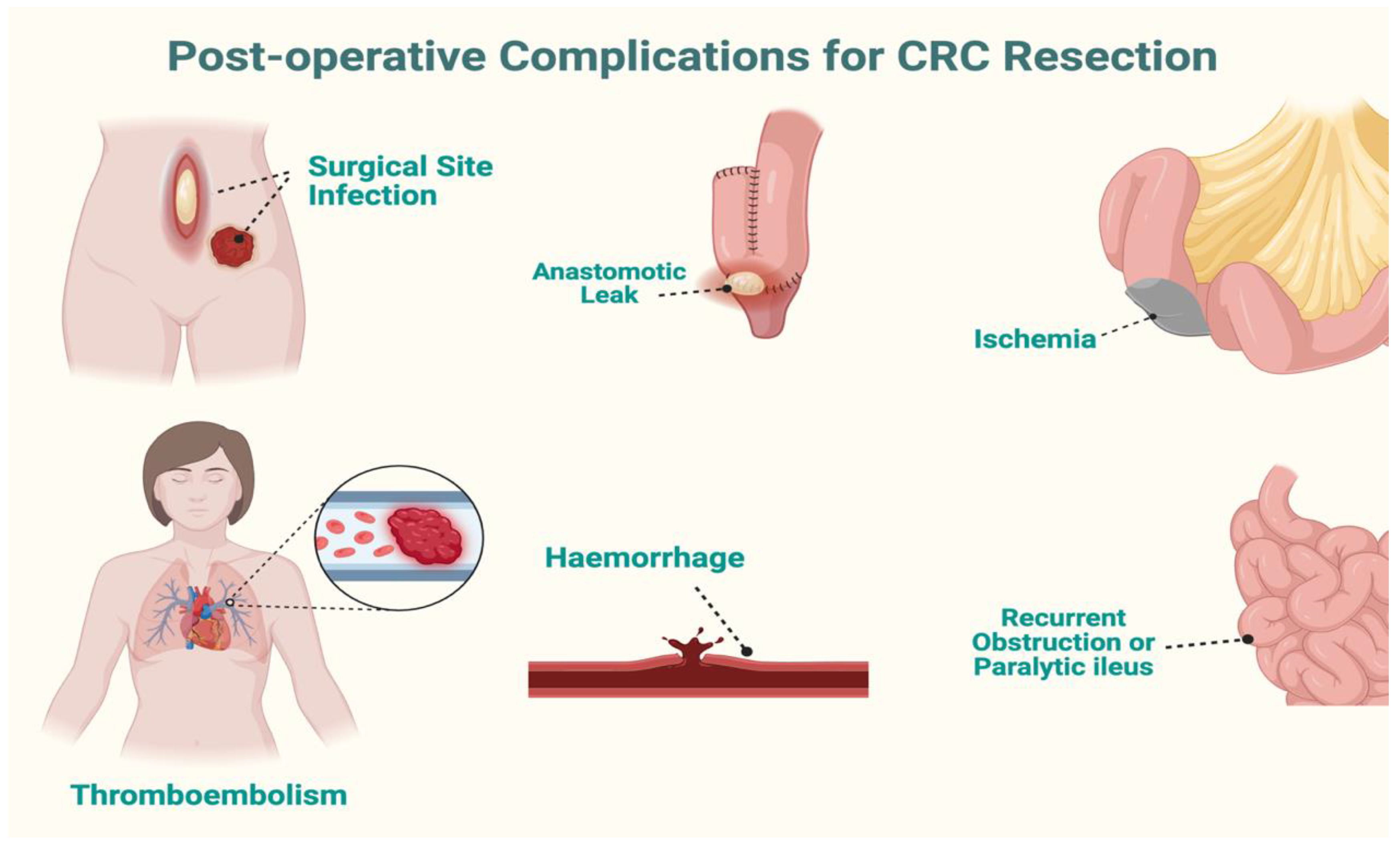 Preprints 201036 g003