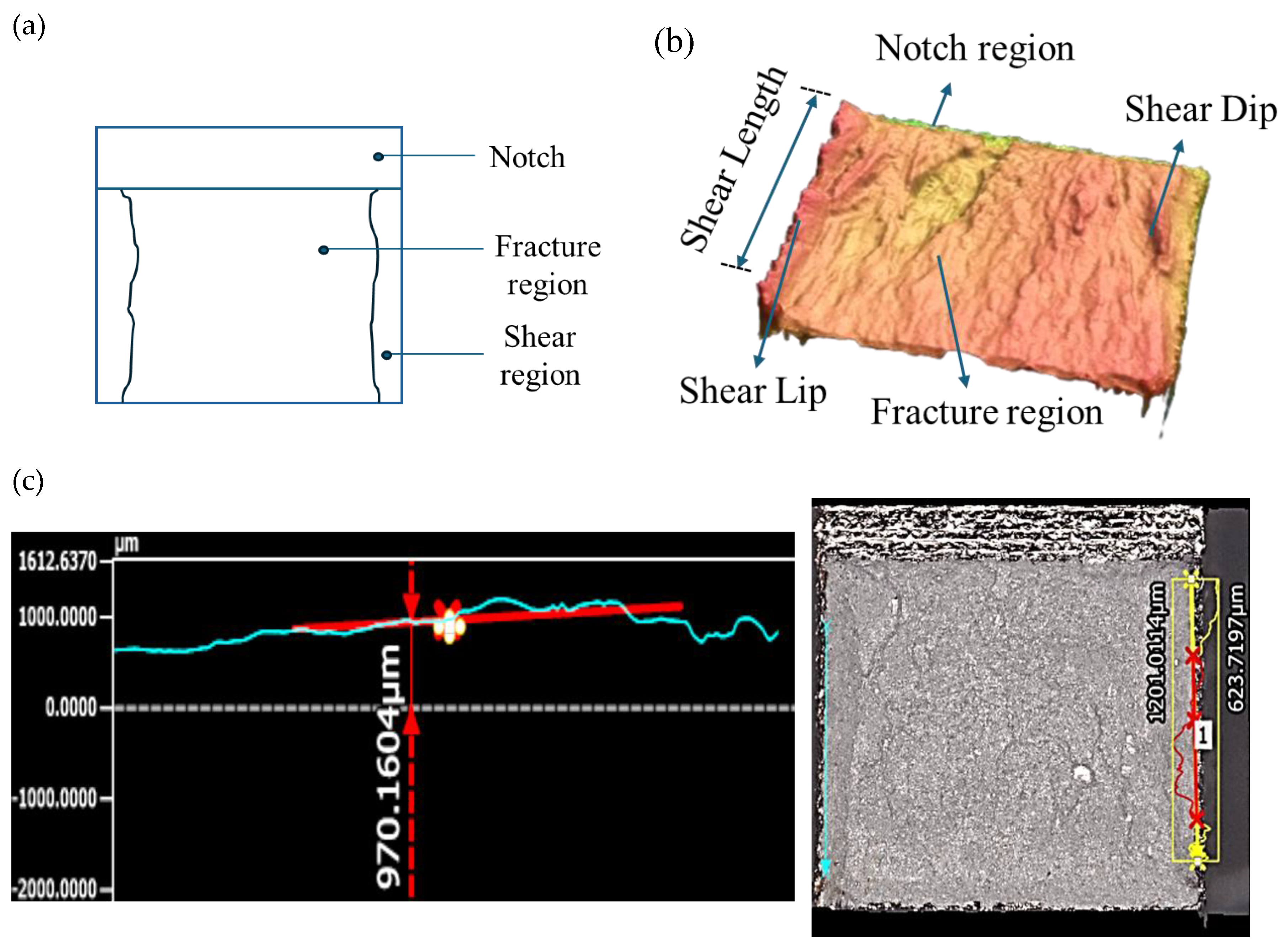 Preprints 190850 g003