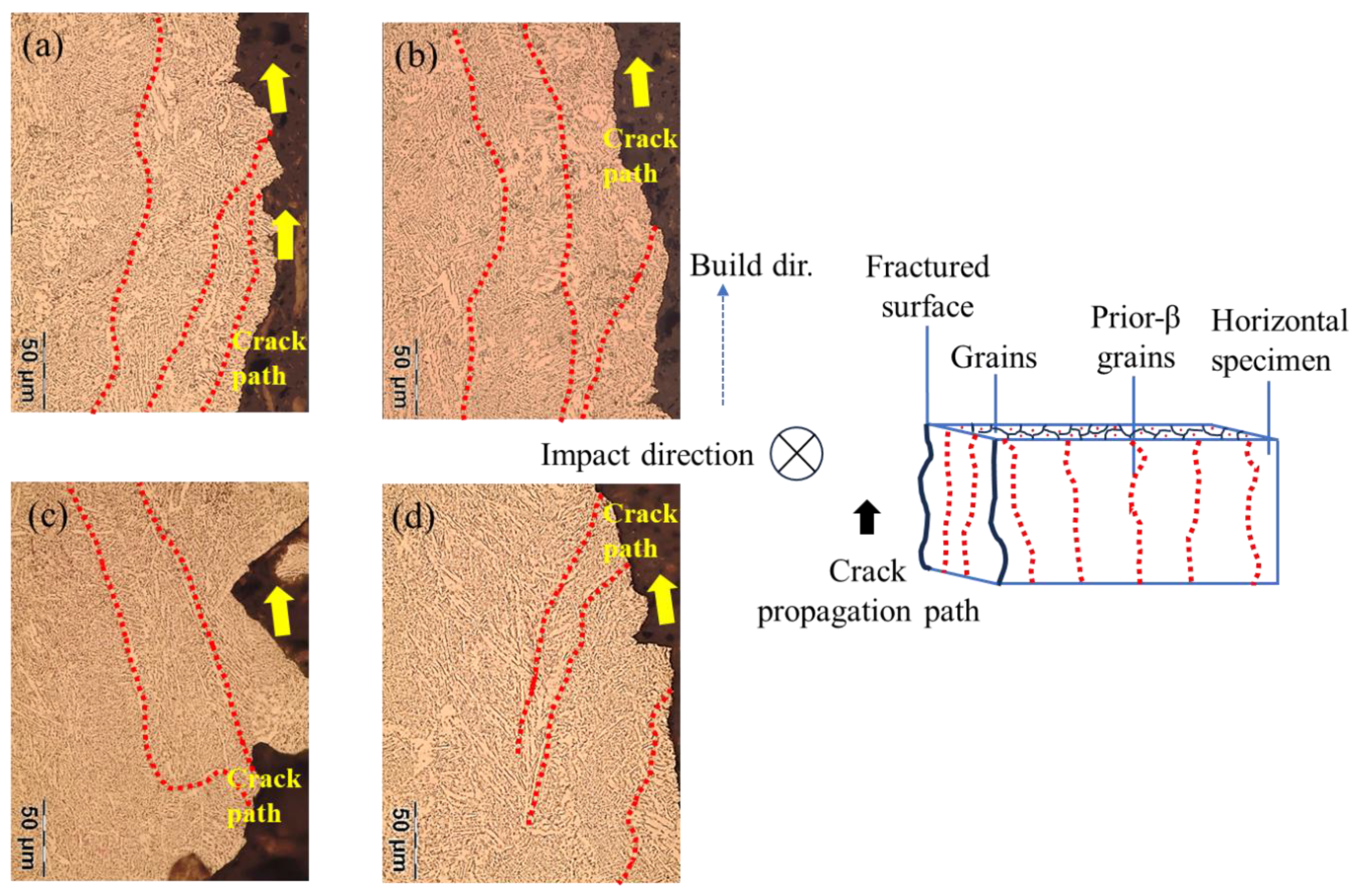 Preprints 190850 g008a