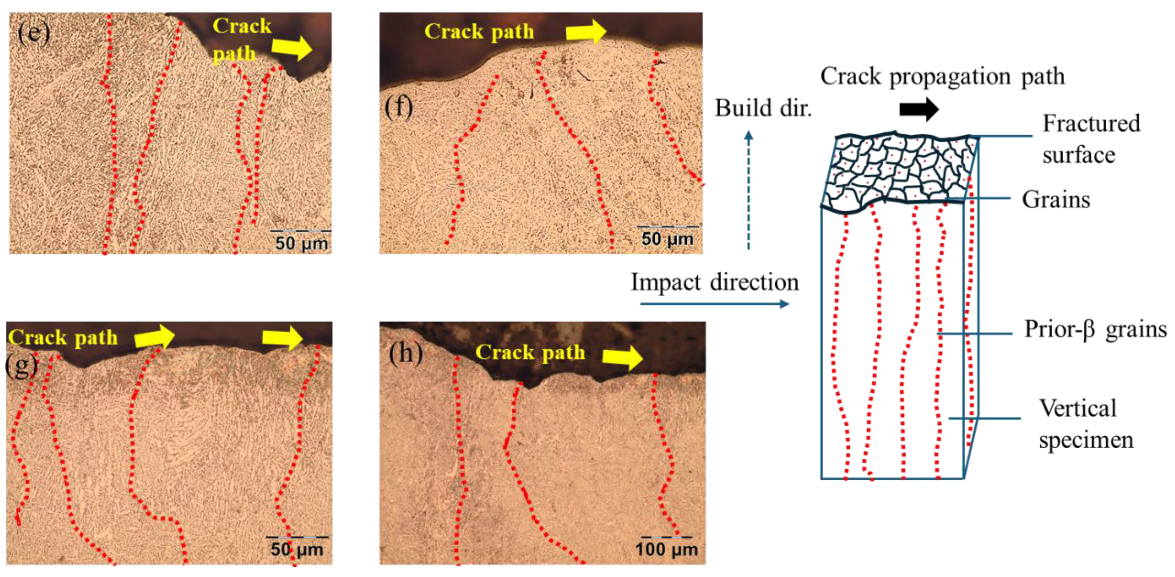 Preprints 190850 g008b