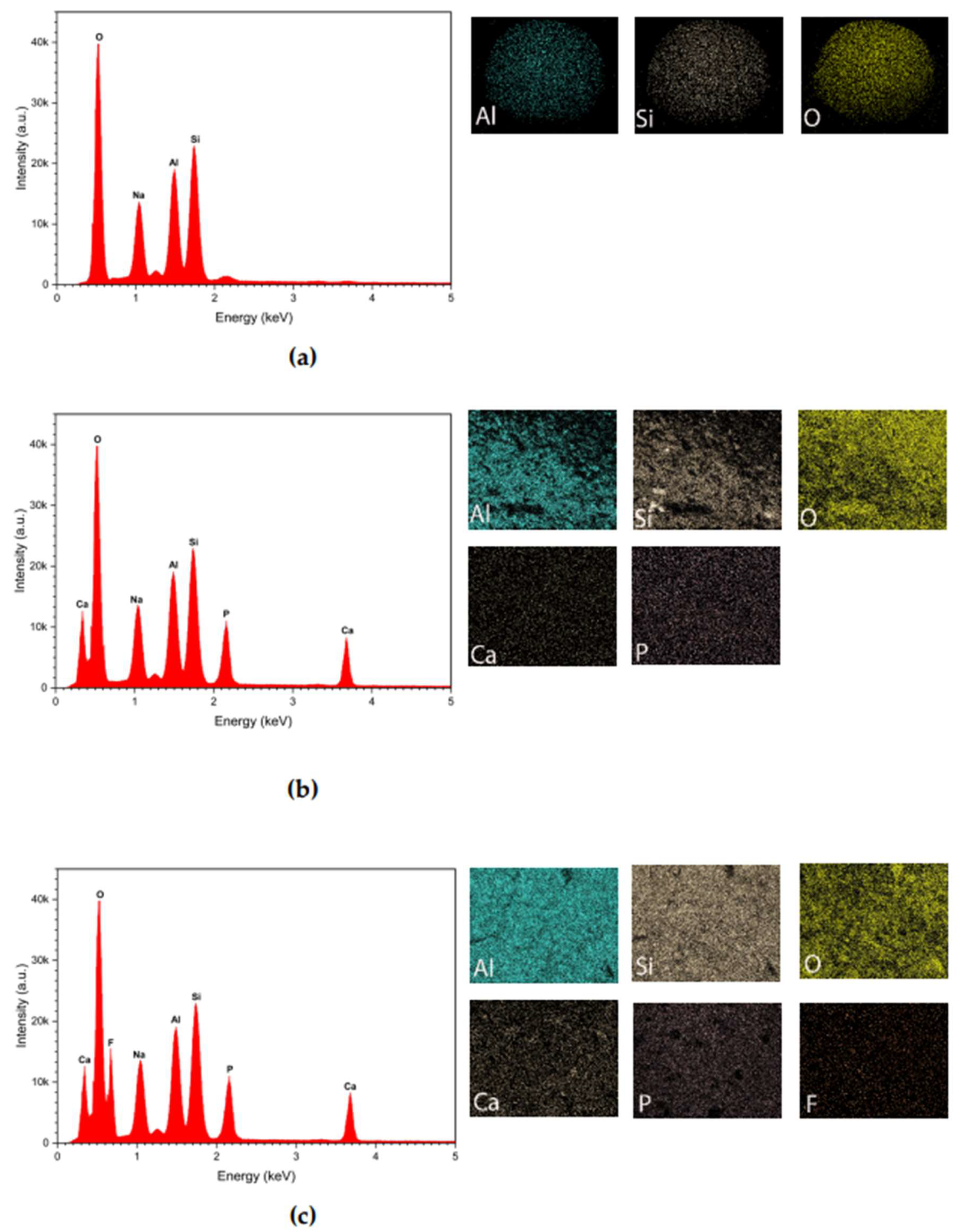 Preprints 150732 g001