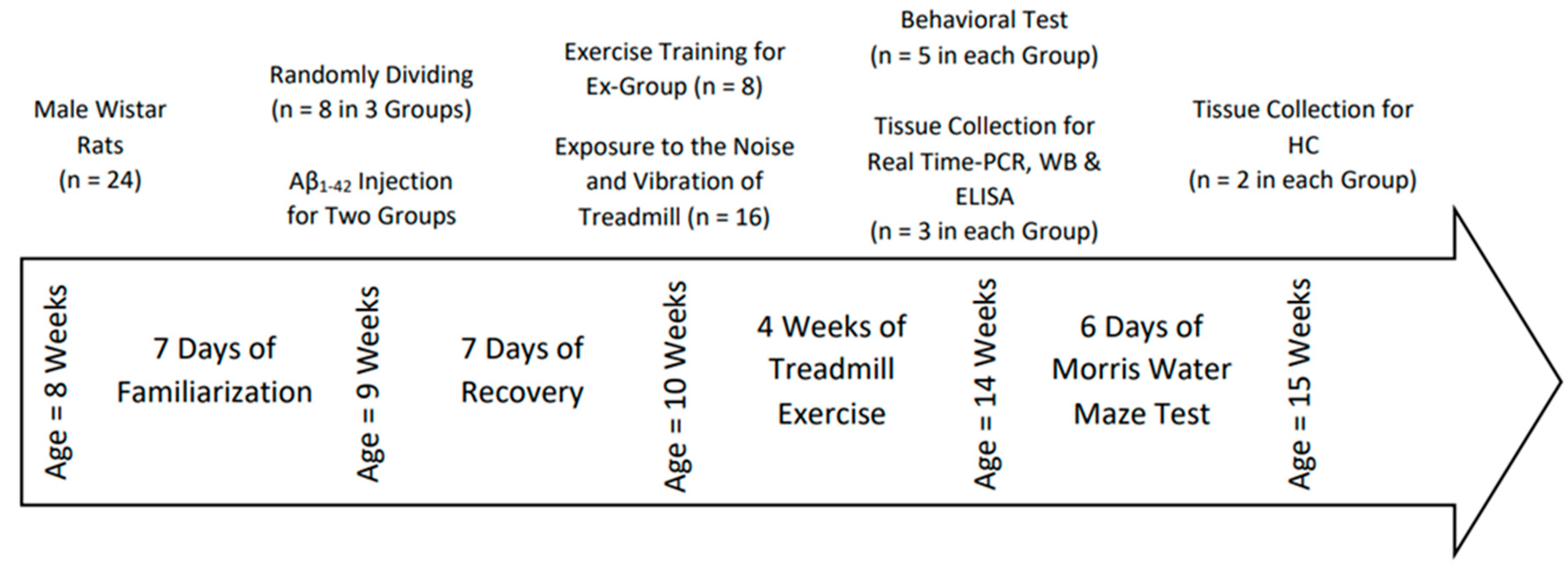 Preprints 177379 g001