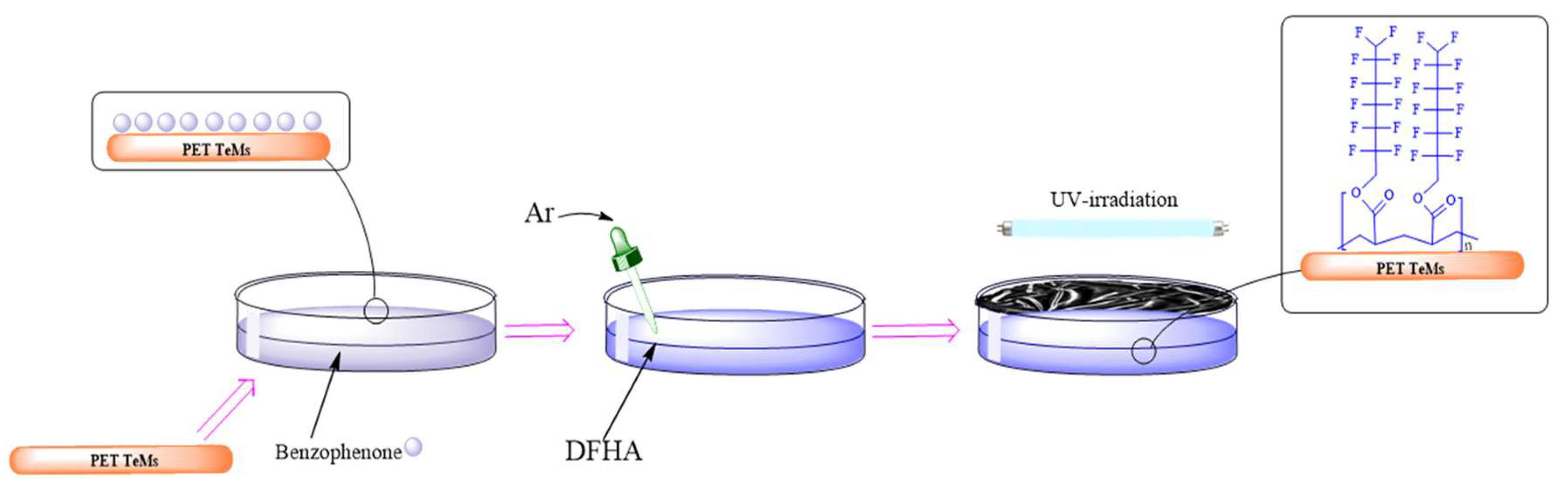 Preprints 107885 g001