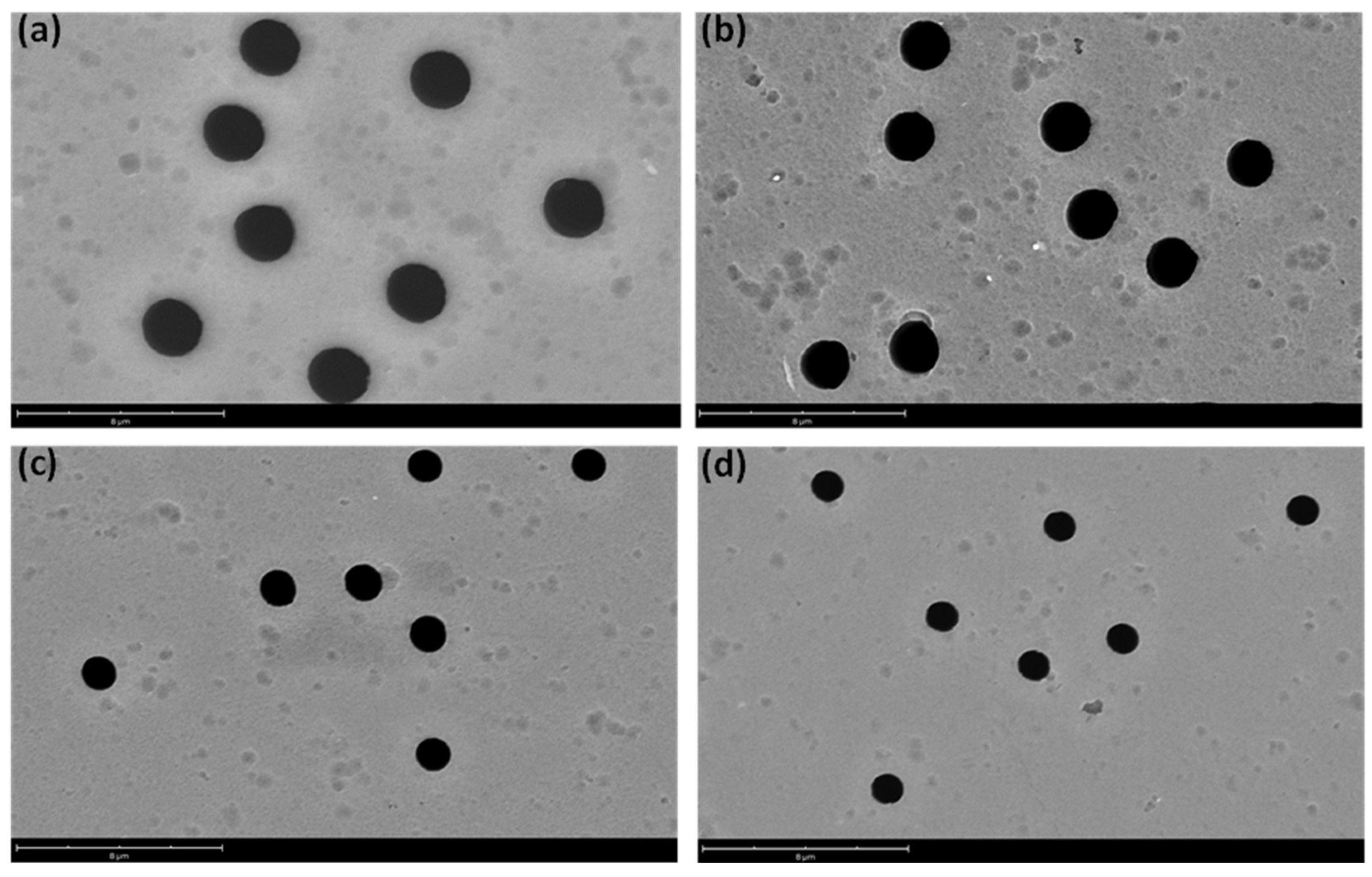 Preprints 107885 g004