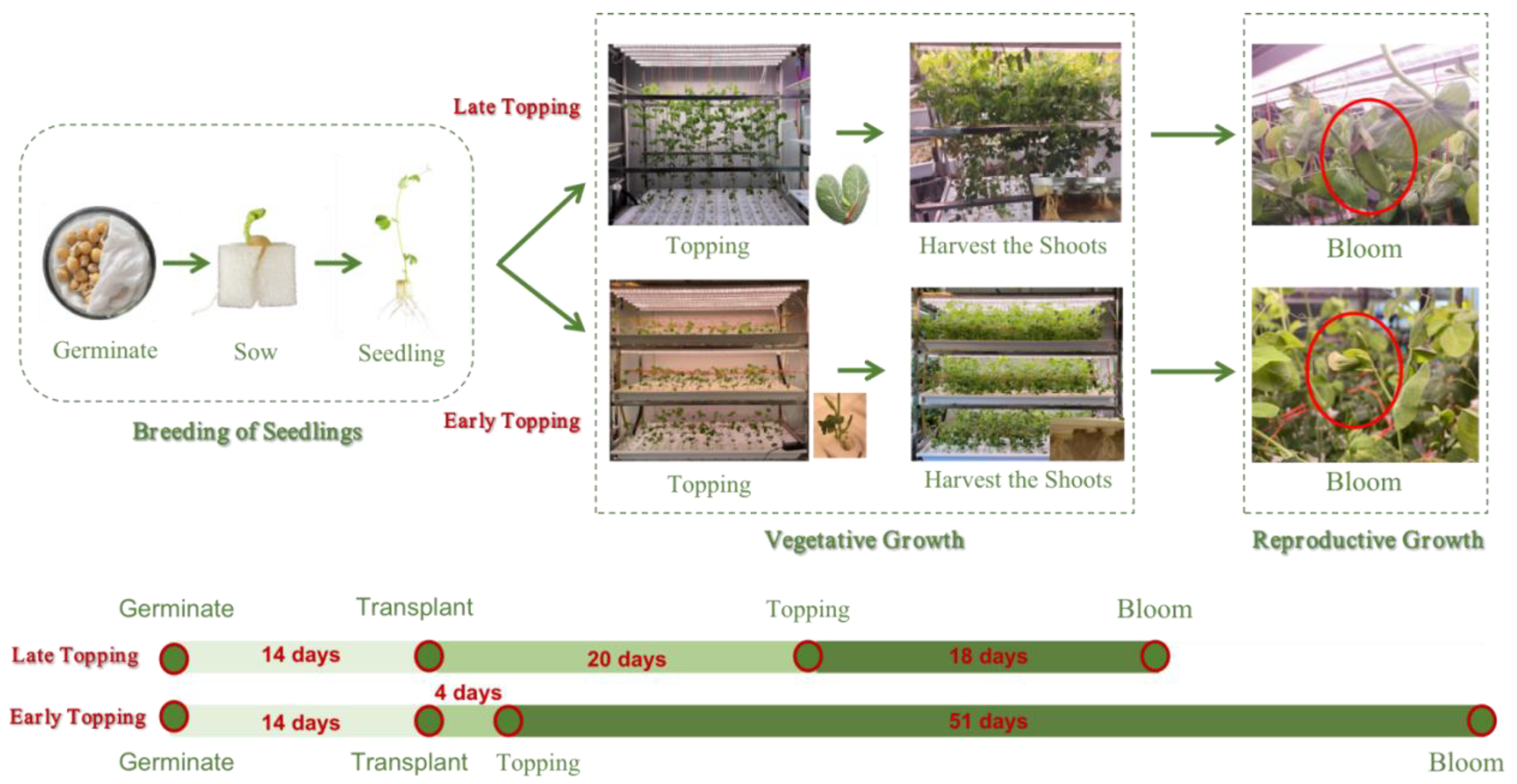 Preprints 107559 g001