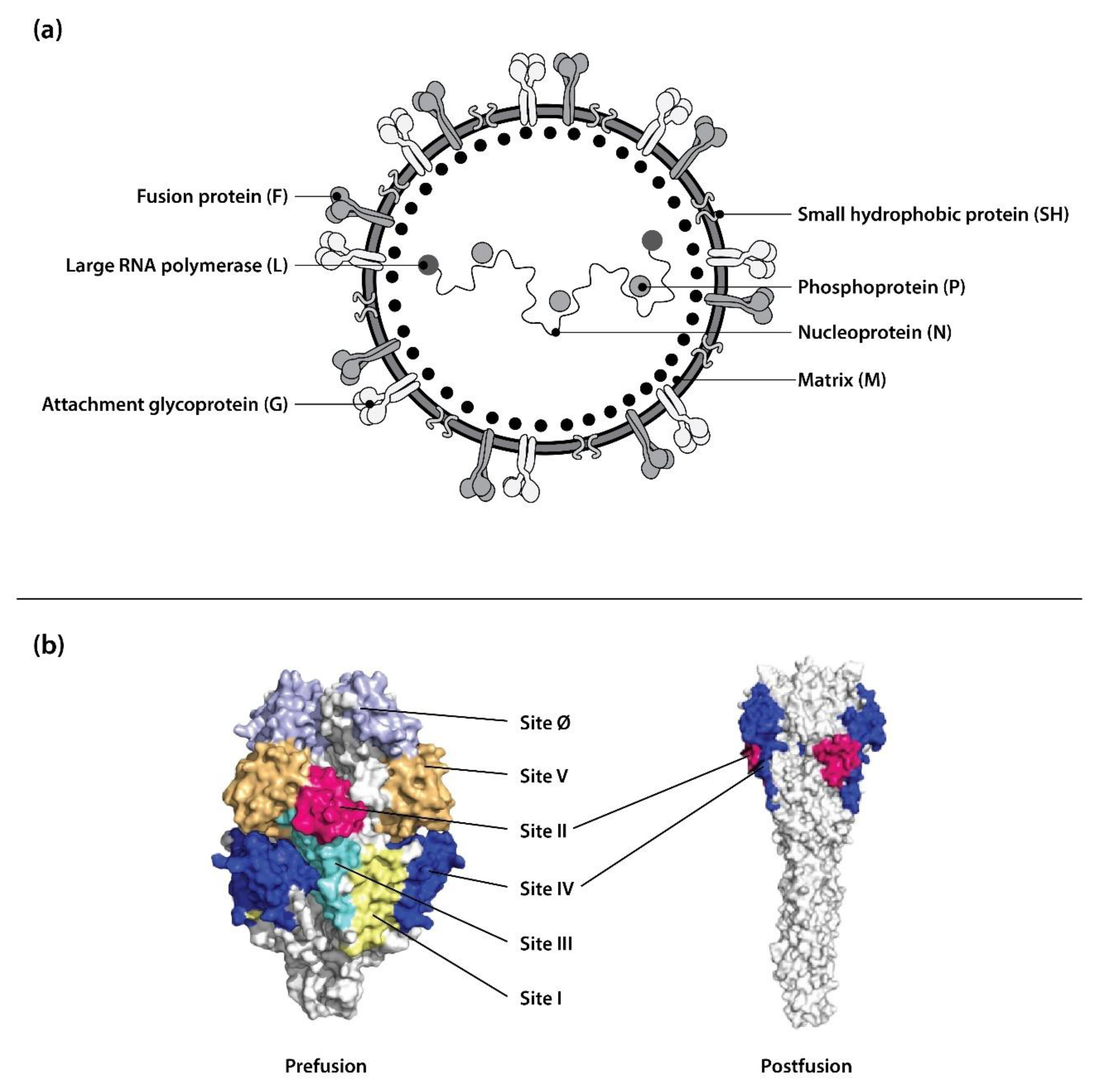Preprints 187785 g001