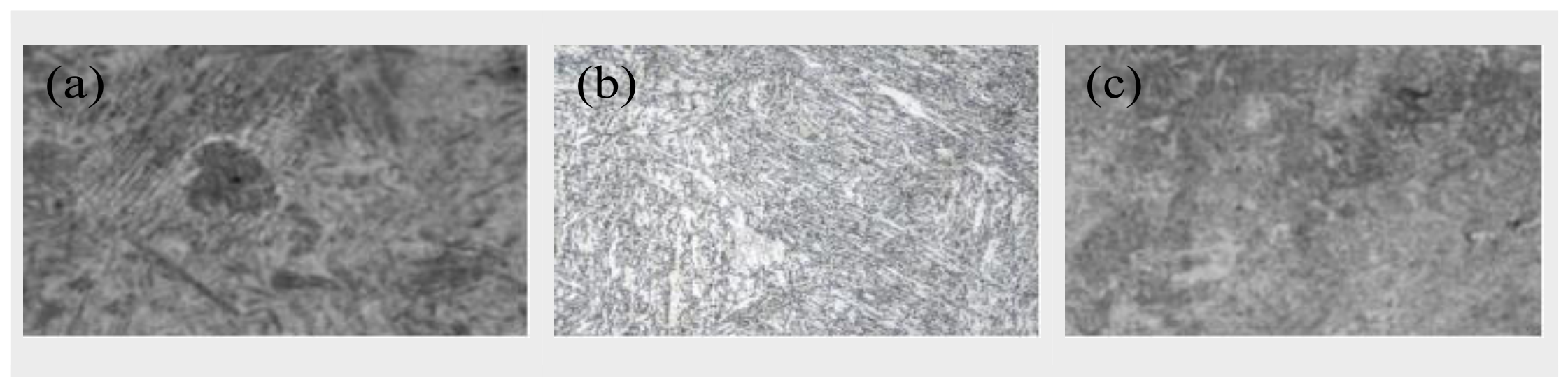 Preprints 230701 g004 Preprints 230701 g004