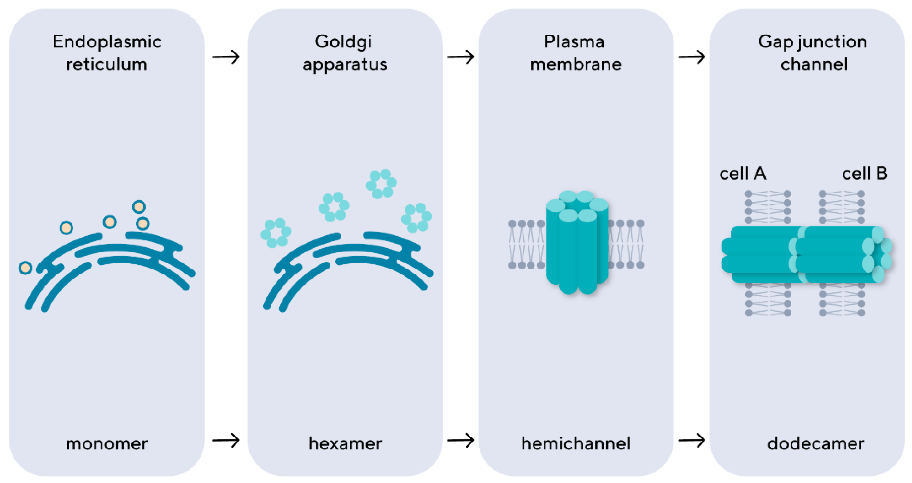Preprints 121541 g001