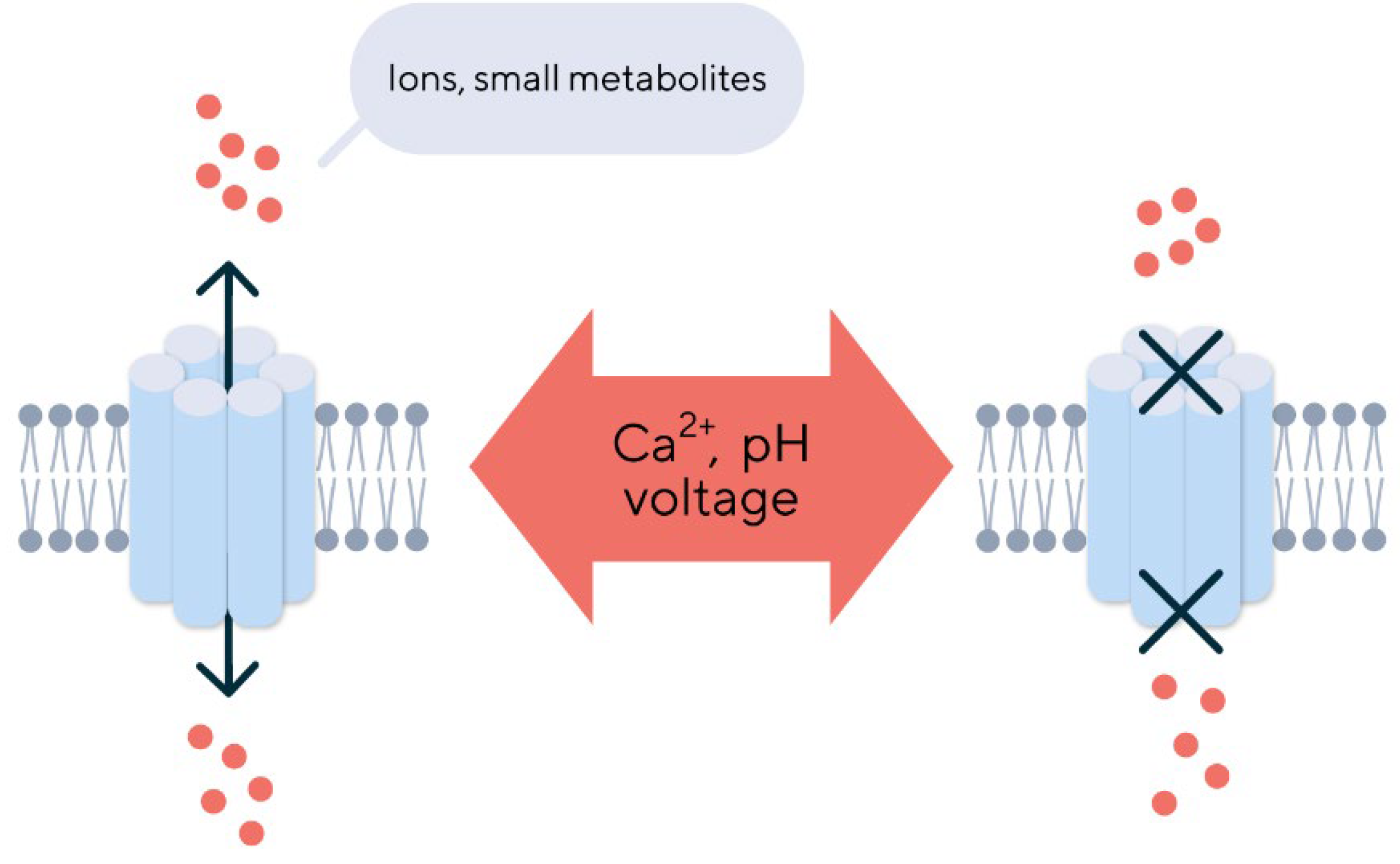 Preprints 121541 g002