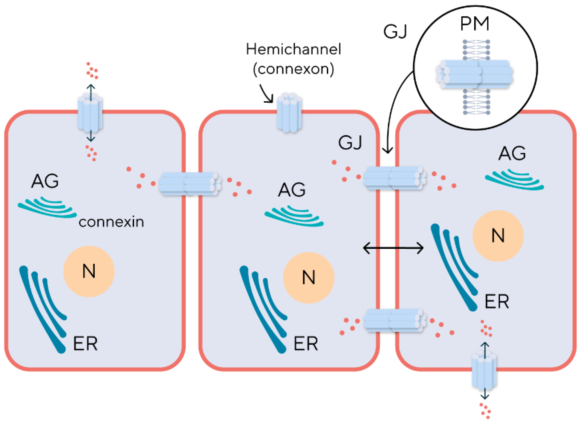 Preprints 121541 g003