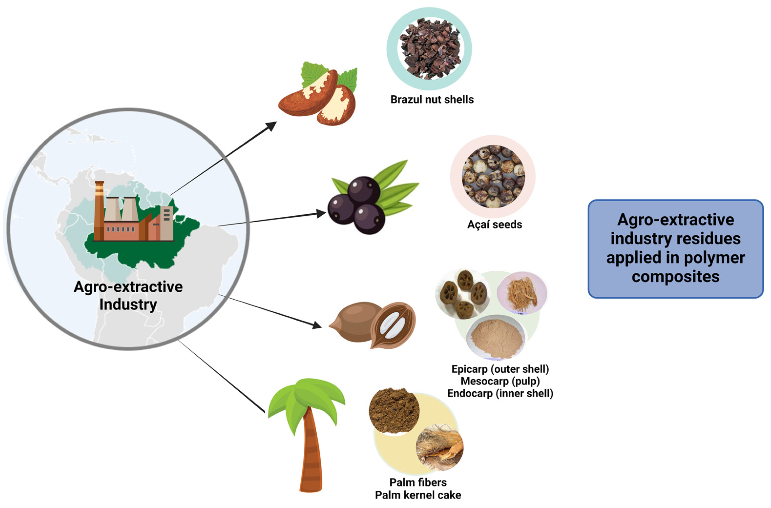 Preprints 137864 g006