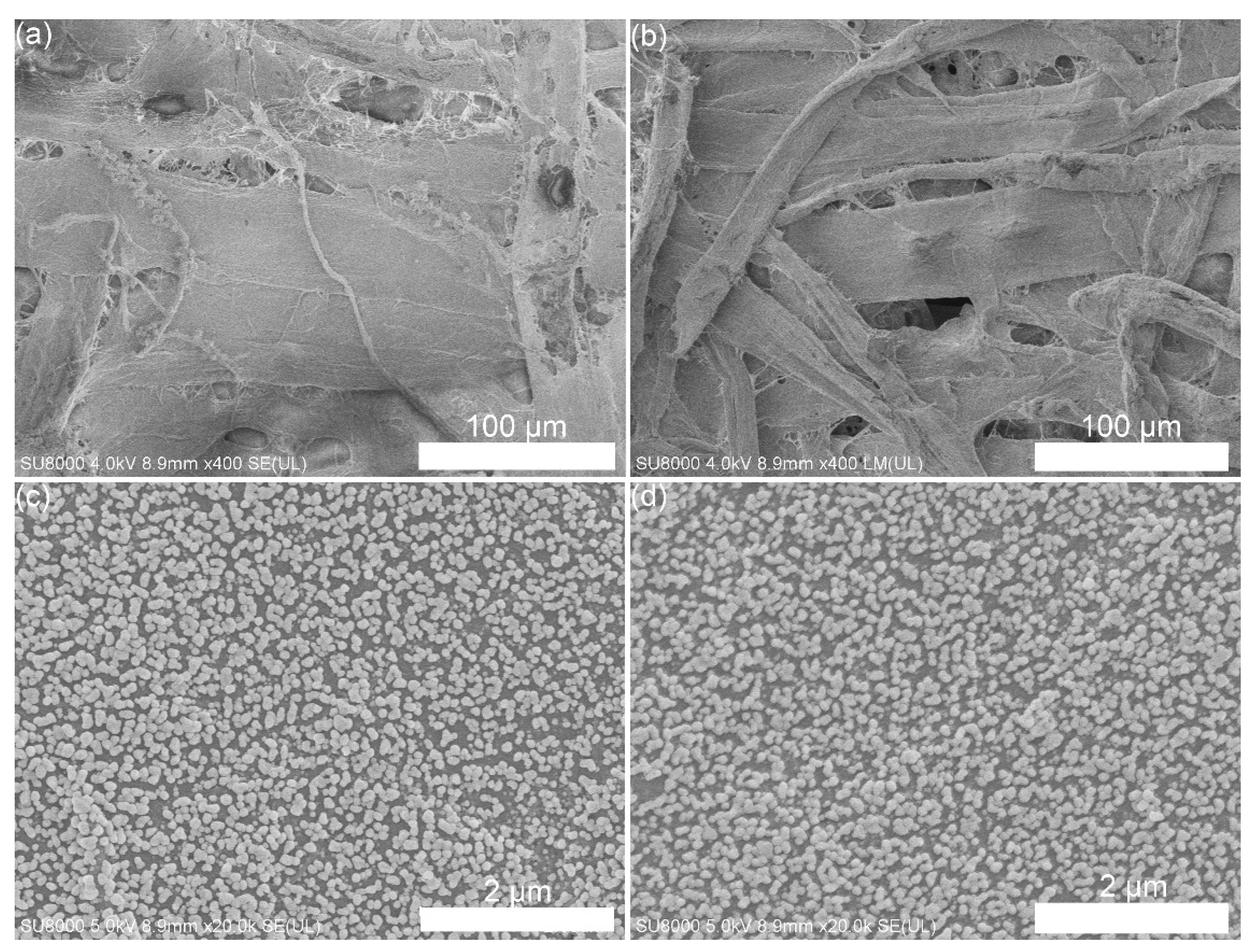 Preprints 193719 g002