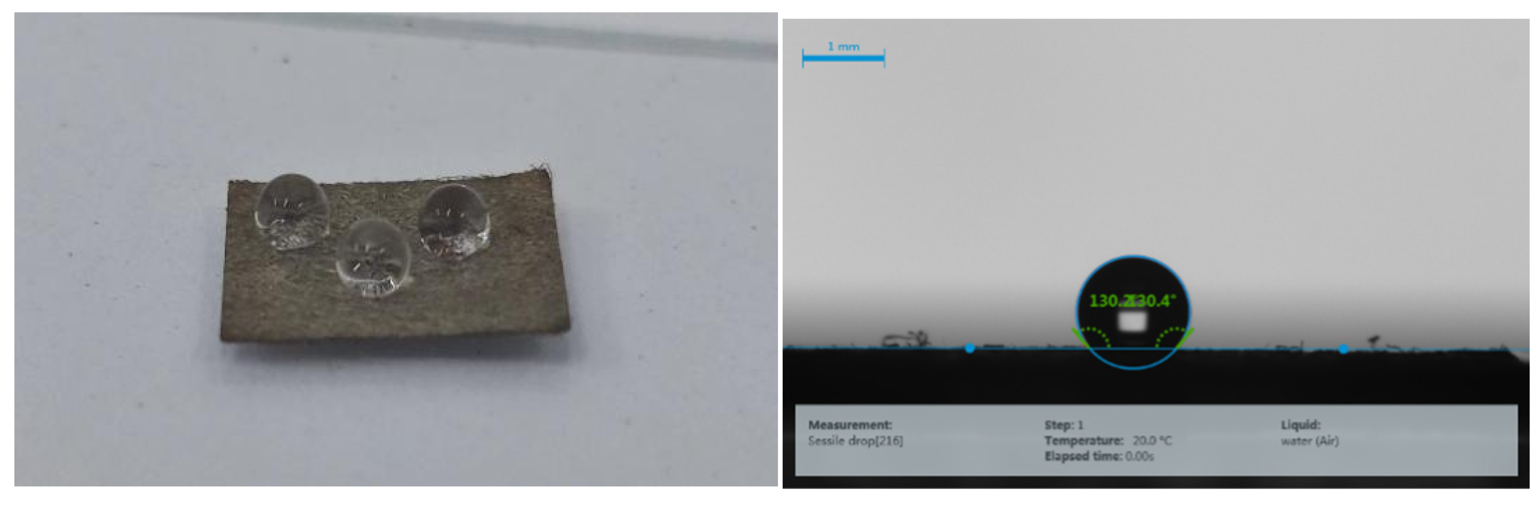 Preprints 193719 g003