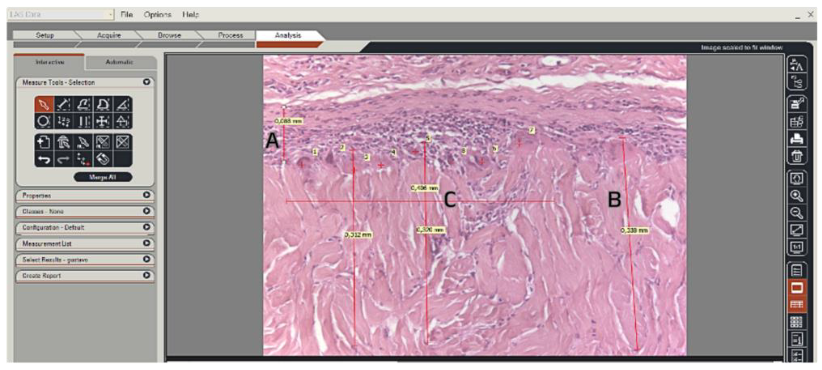 Preprints 151199 g002
