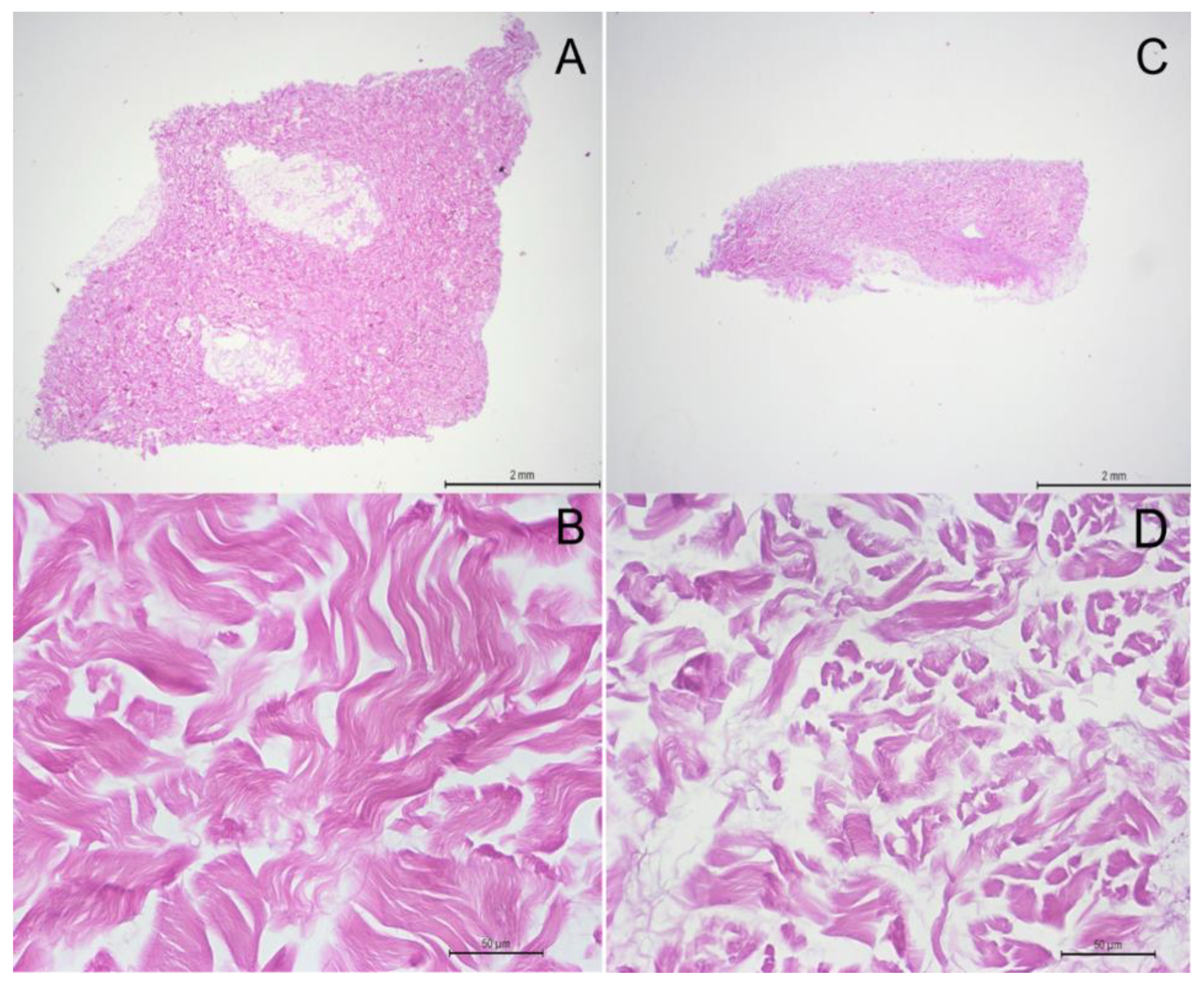 Preprints 151199 g005