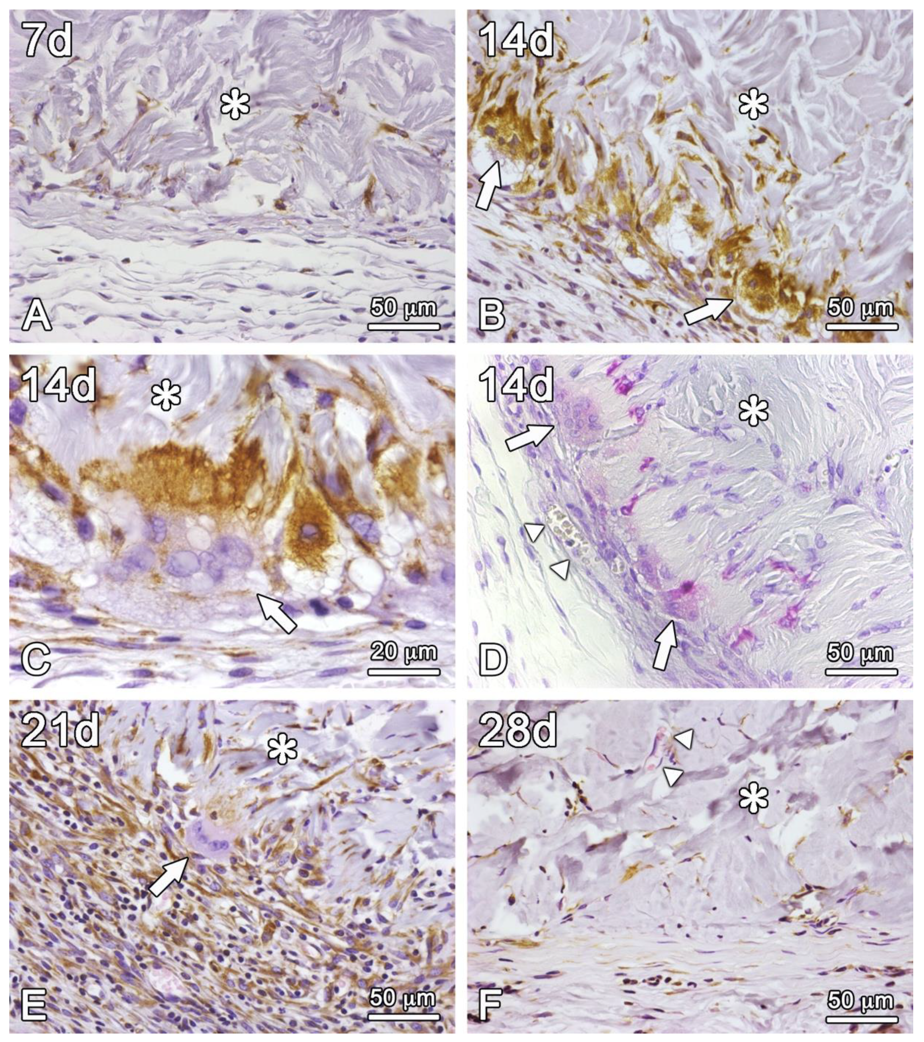 Preprints 151199 g007