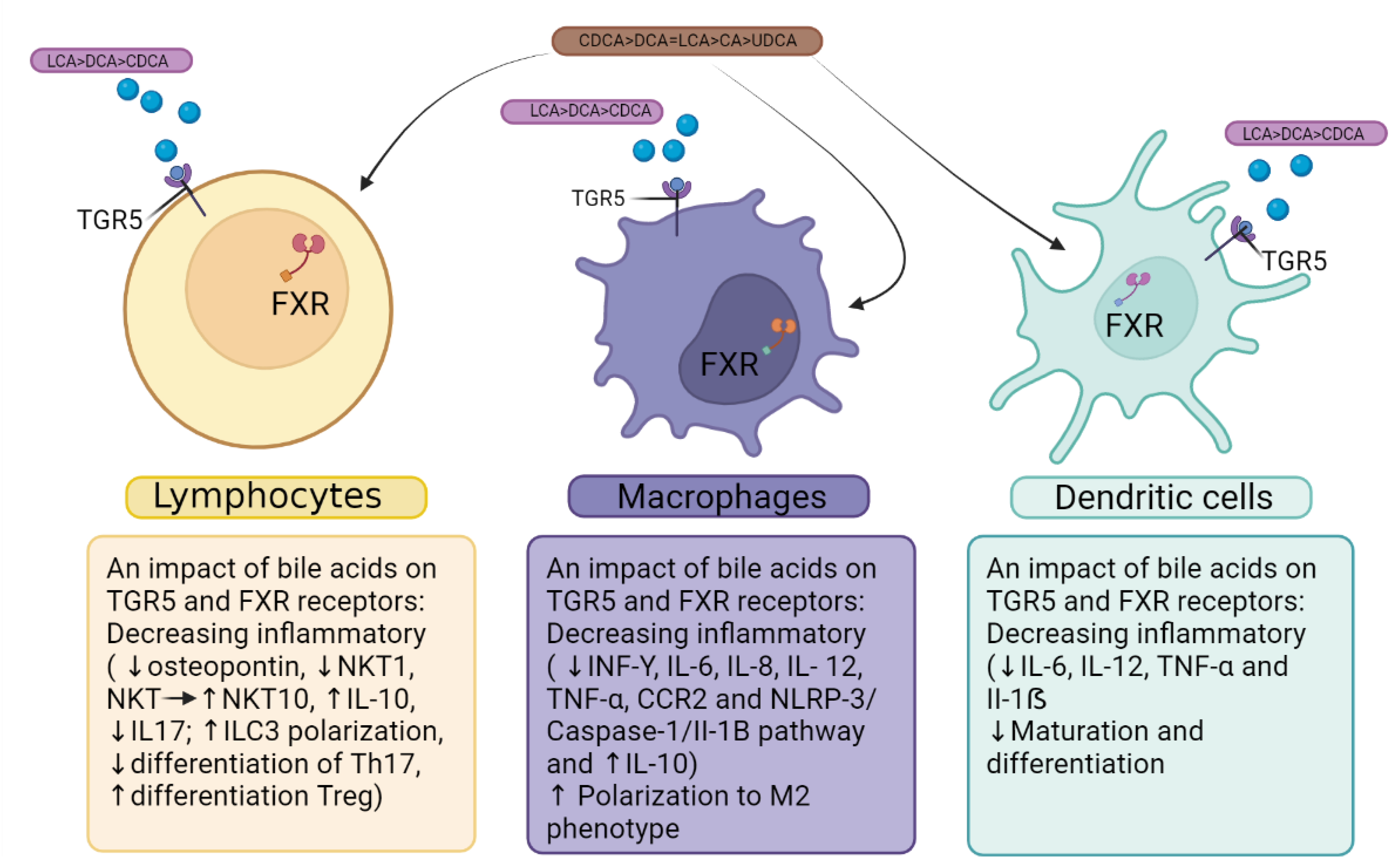 Preprints 70503 g001