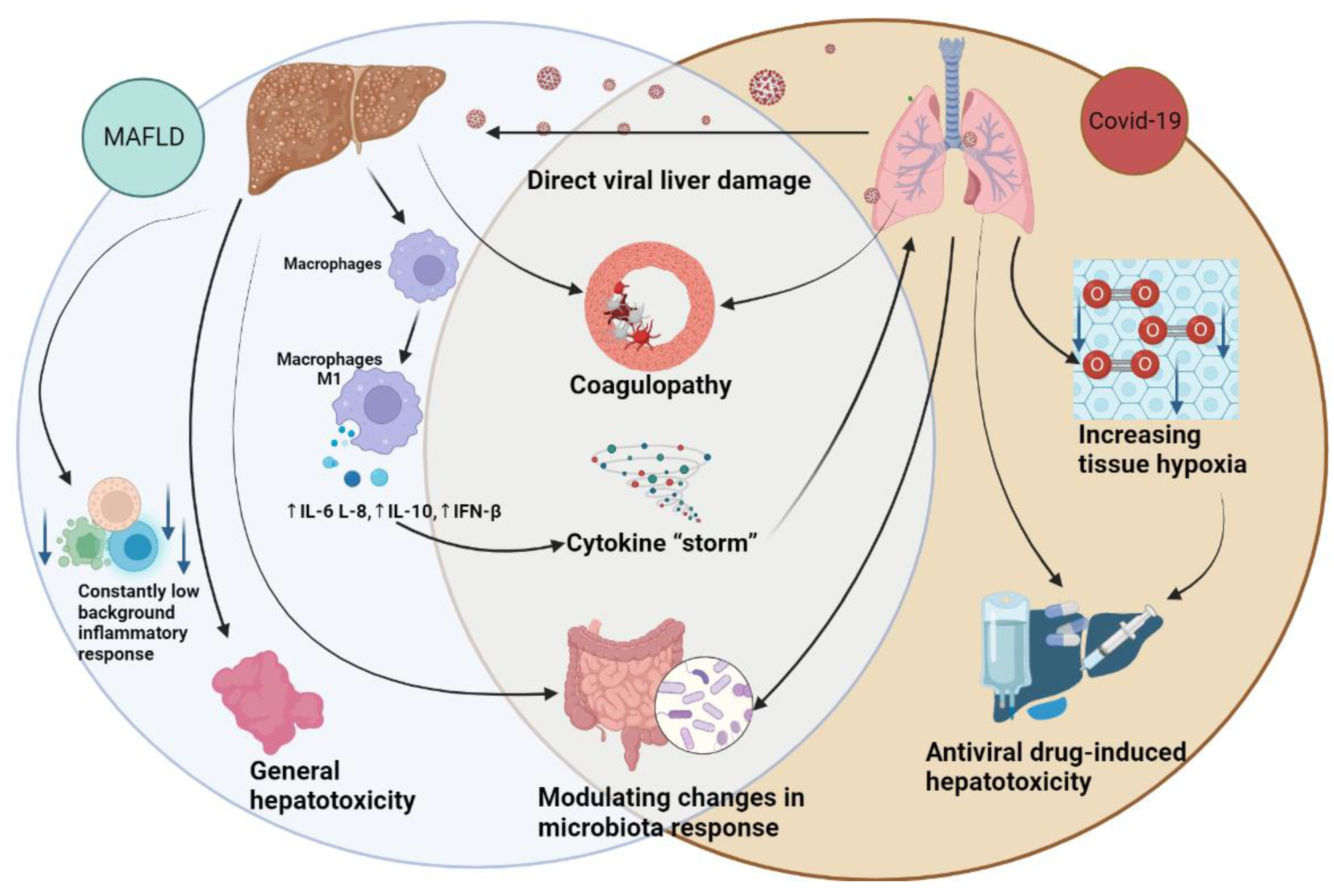 Preprints 70503 g002