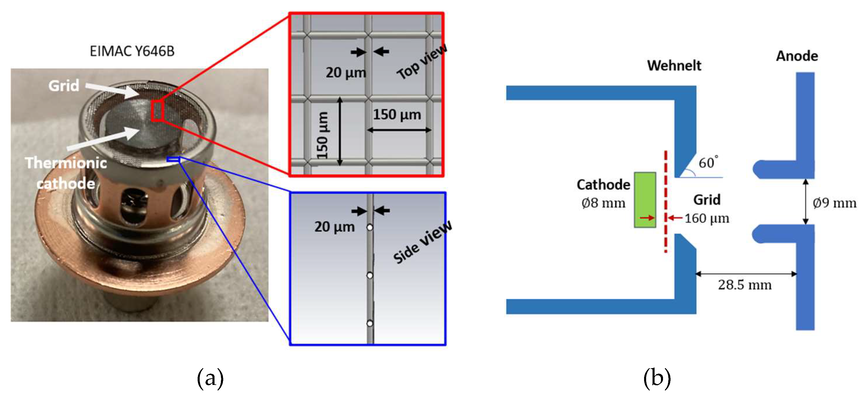 Preprints 159171 g001
