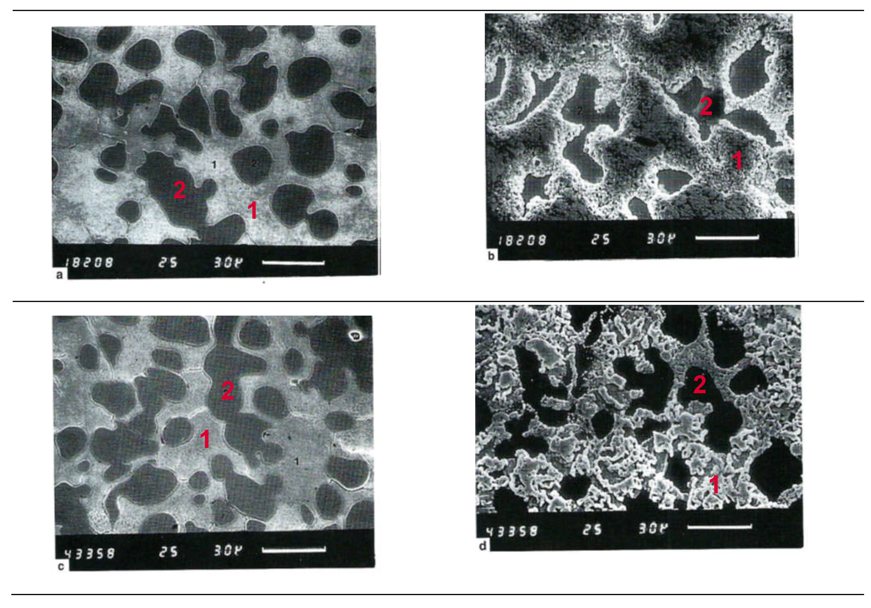 Preprints 142306 g001