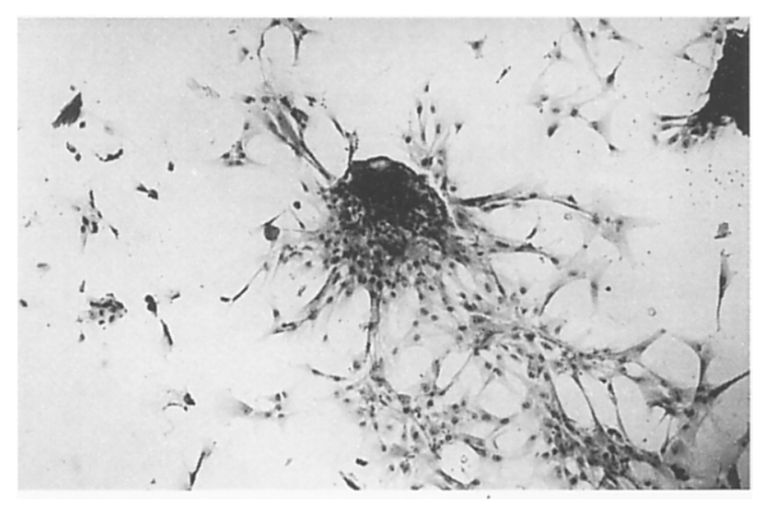 Preprints 142306 g007