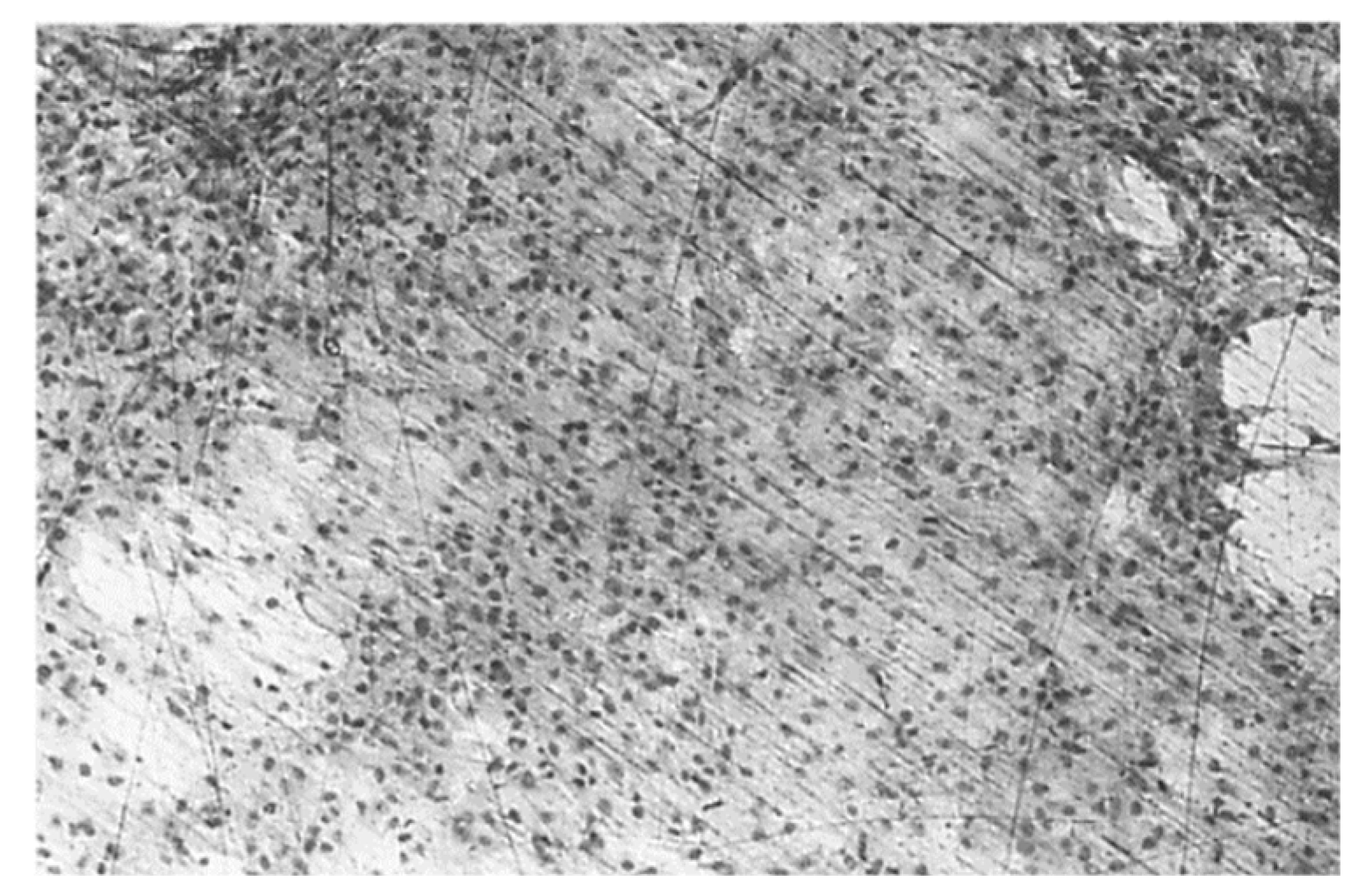 Preprints 142306 g008