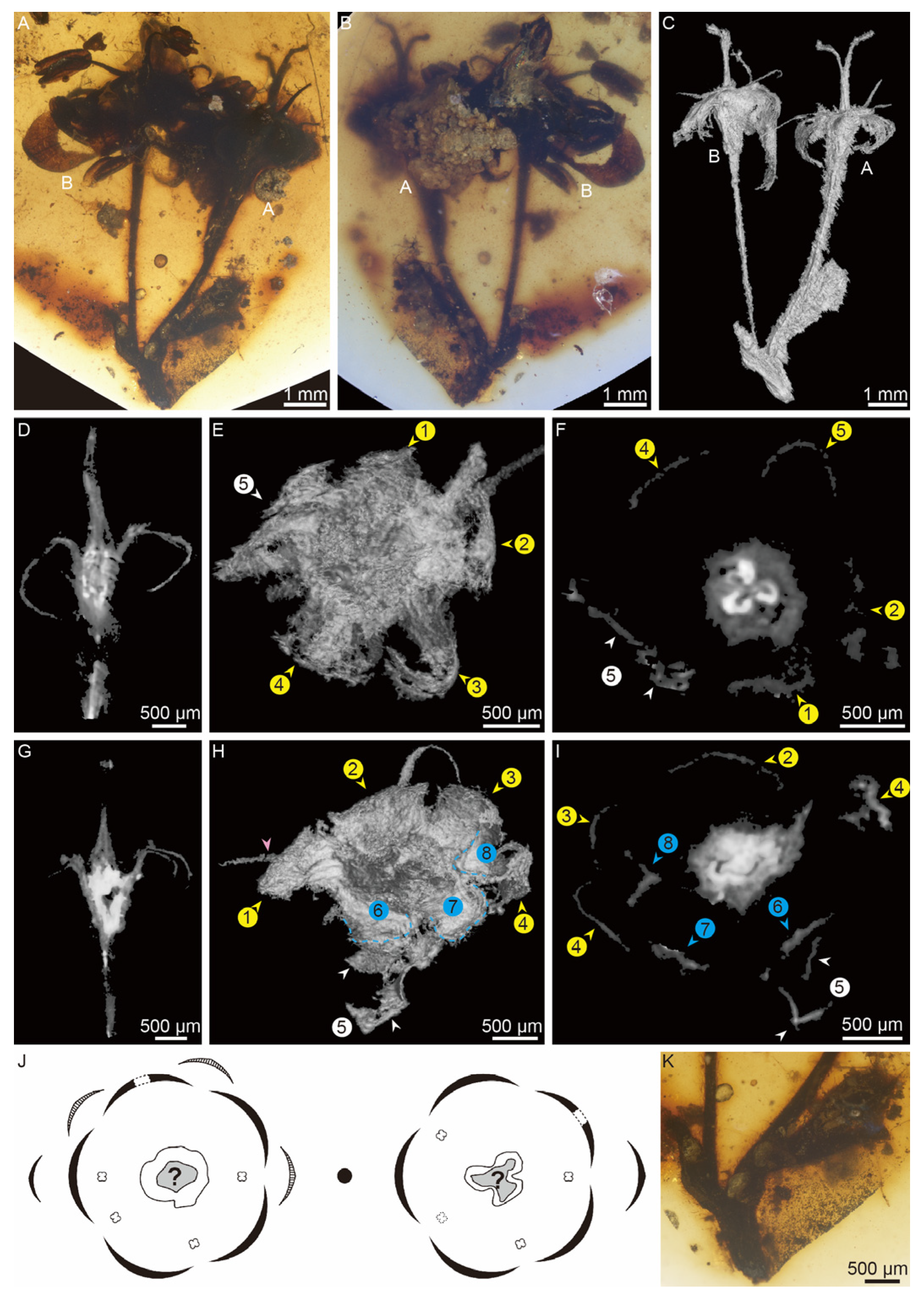 Preprints 178178 g002
