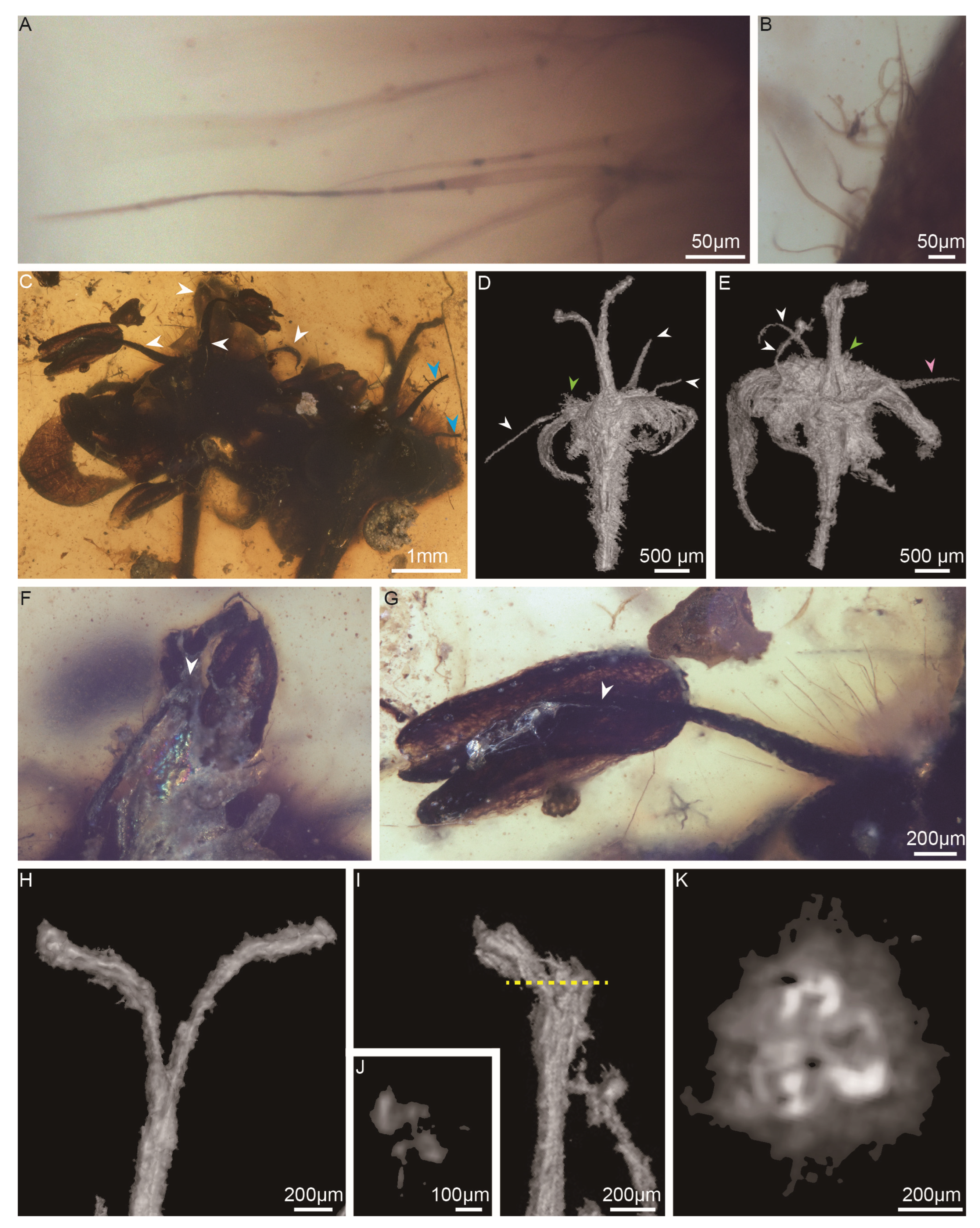 Preprints 178178 g003