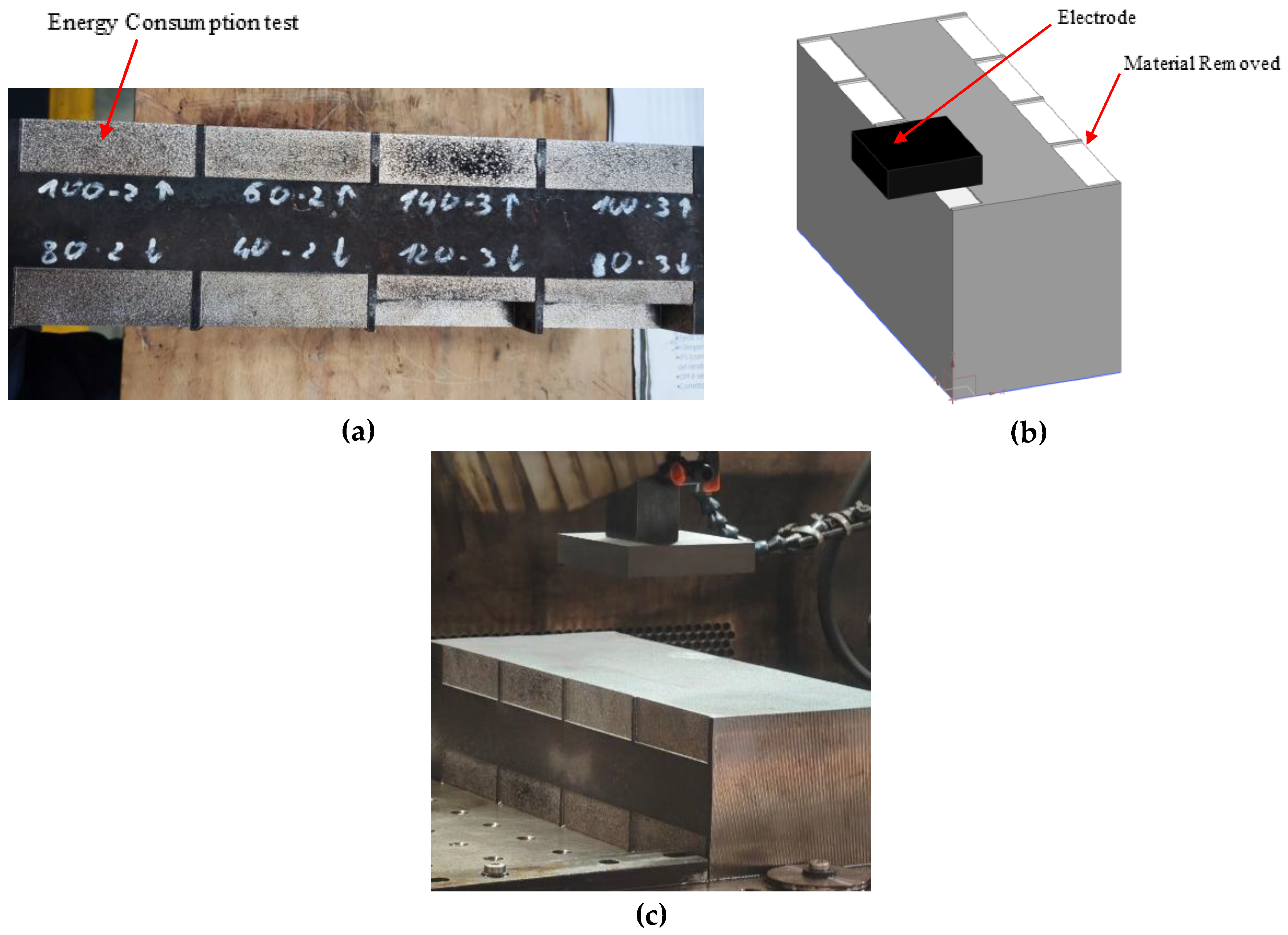 Preprints 158396 g011