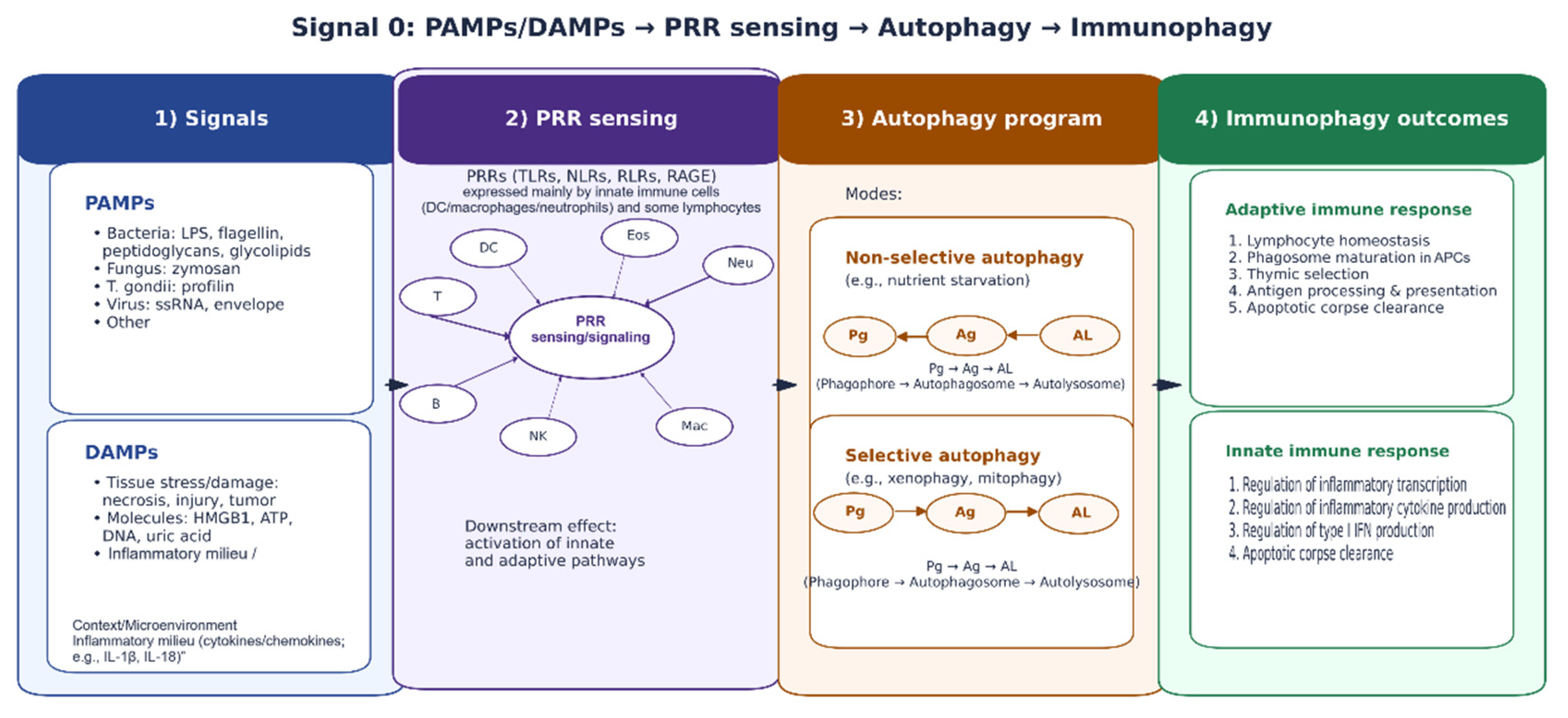 Preprints 190682 g002