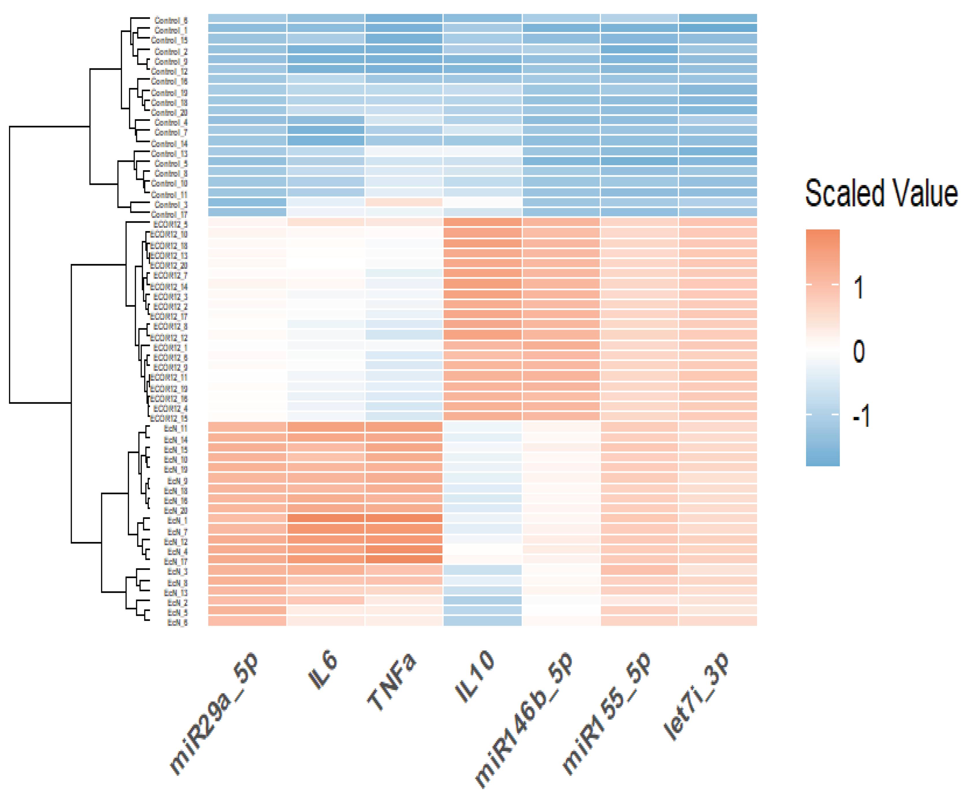 Preprints 190682 g012