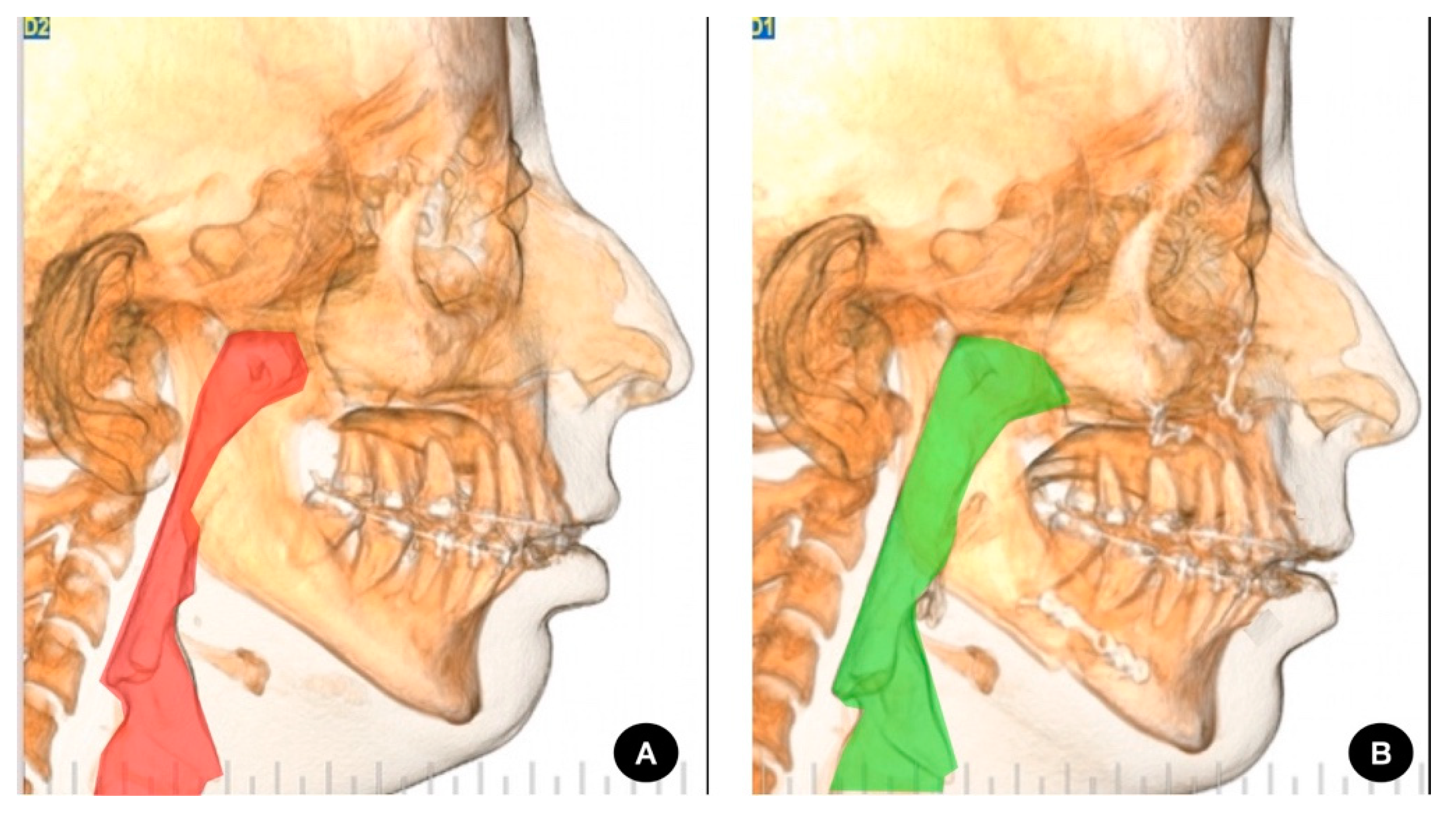 Preprints 79019 g001