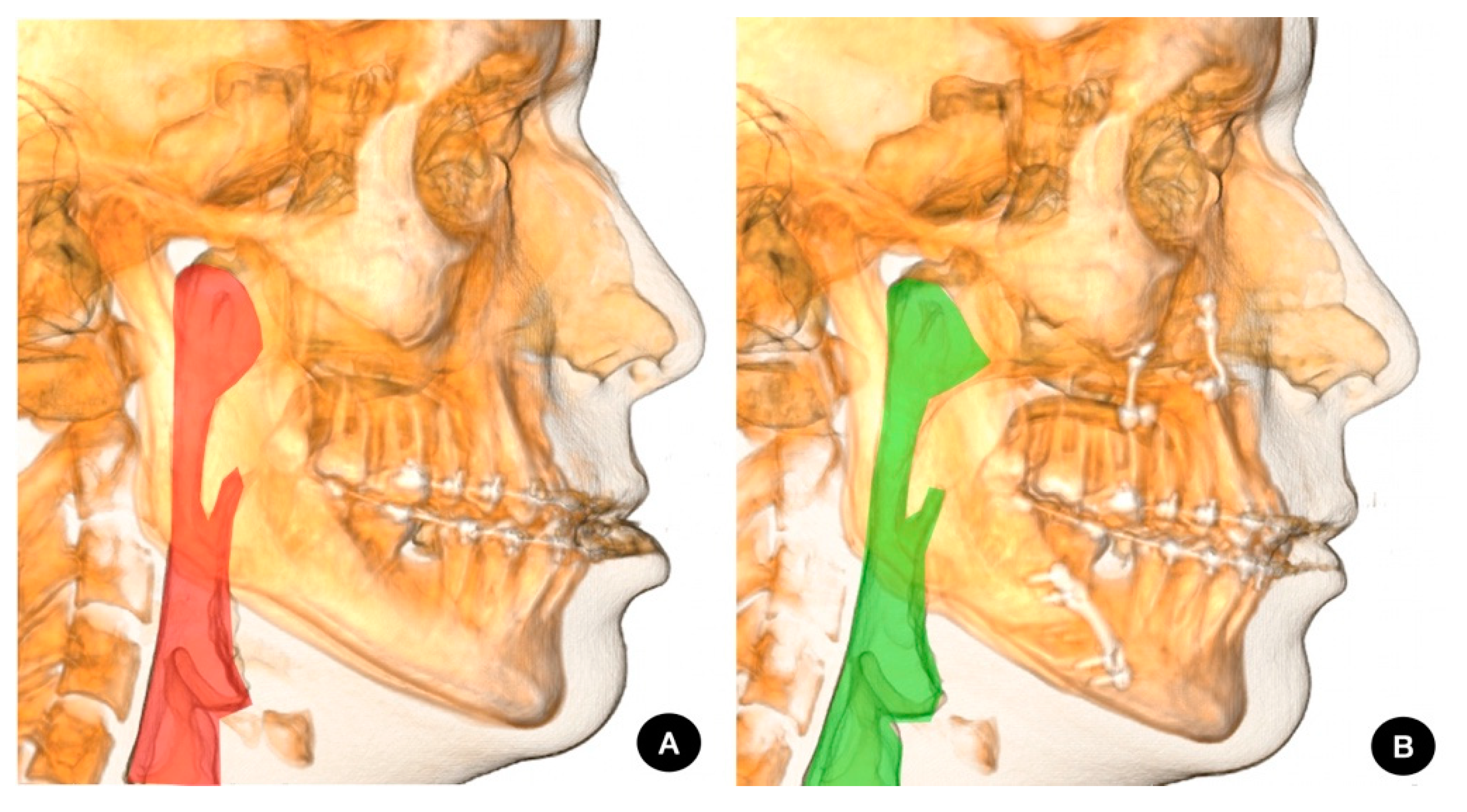 Preprints 79019 g002