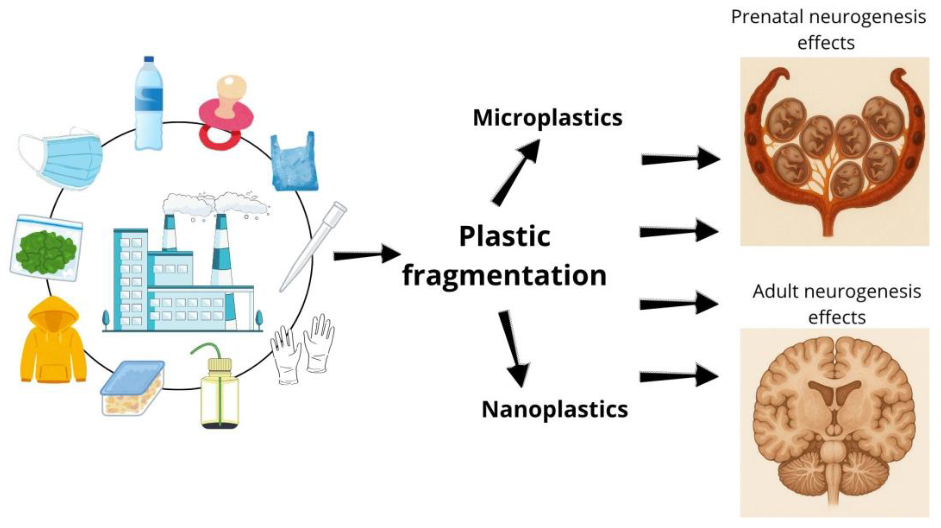 Preprints 167929 g001