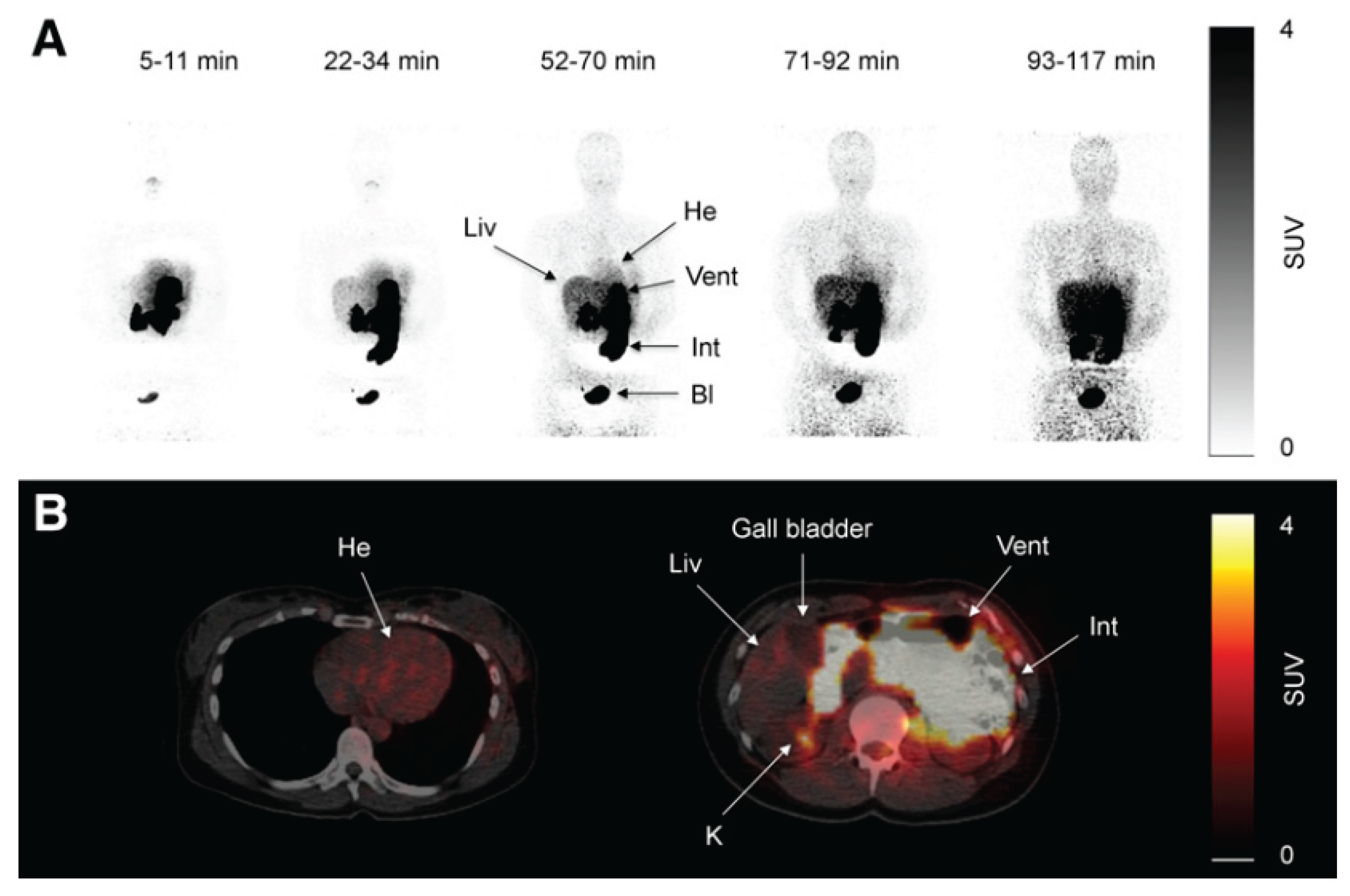 Preprints 161131 g001