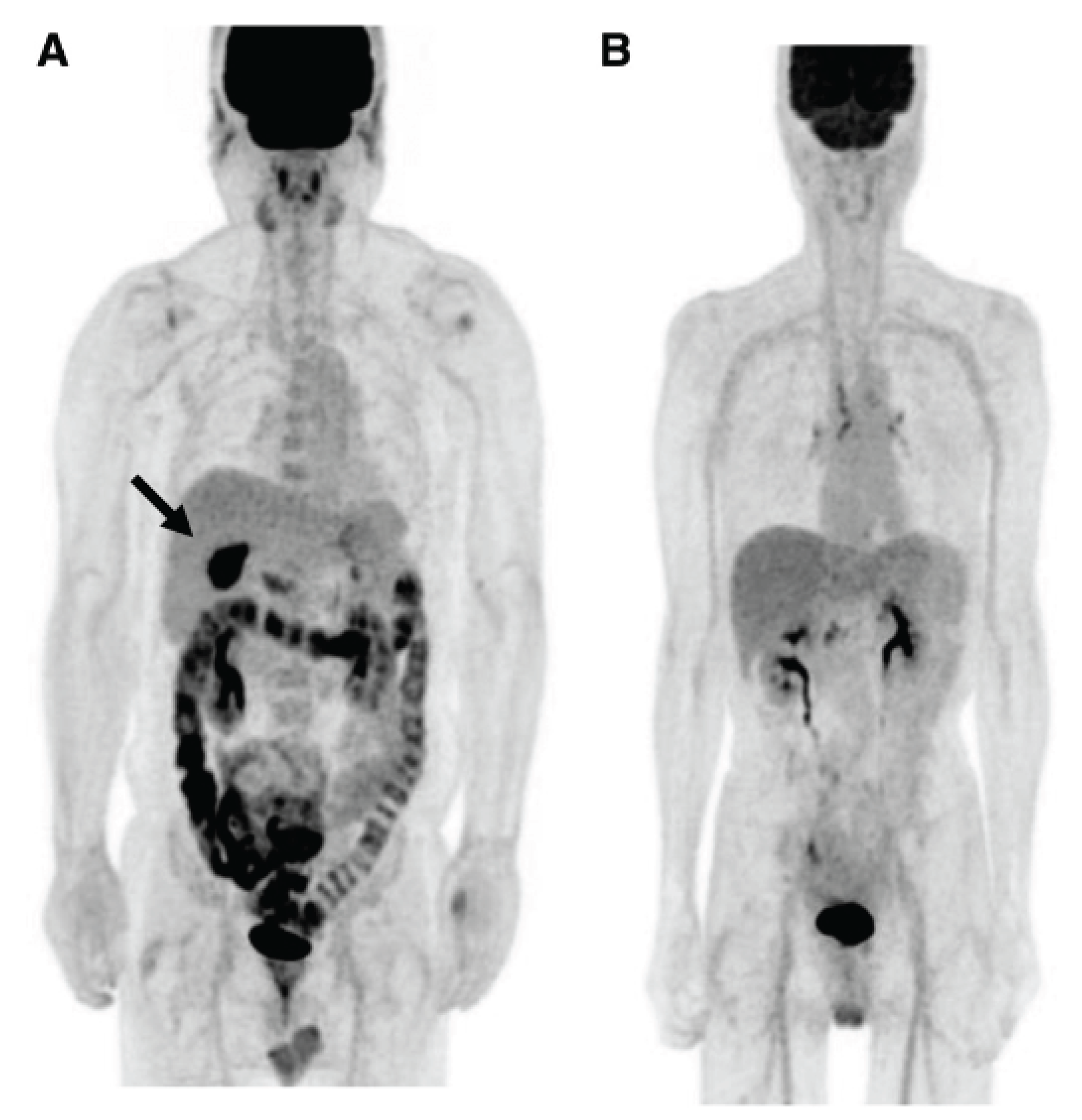 Preprints 161131 g002