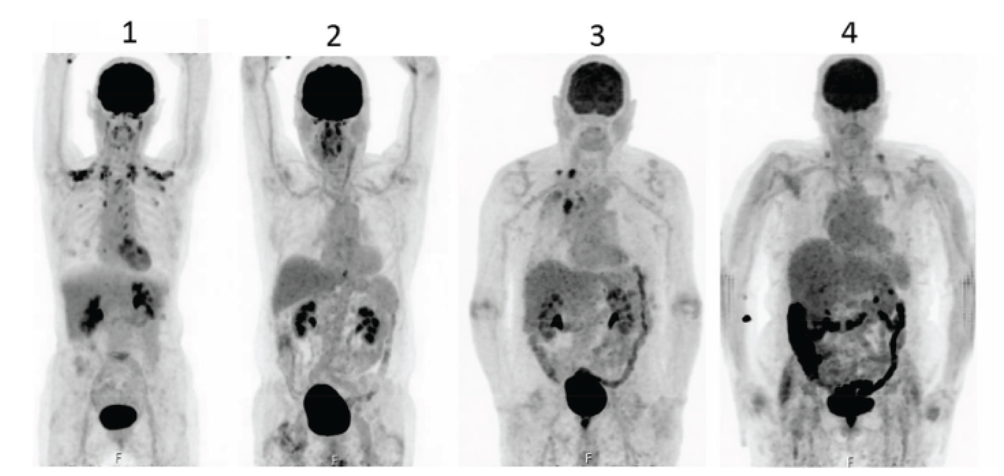 Preprints 161131 g003