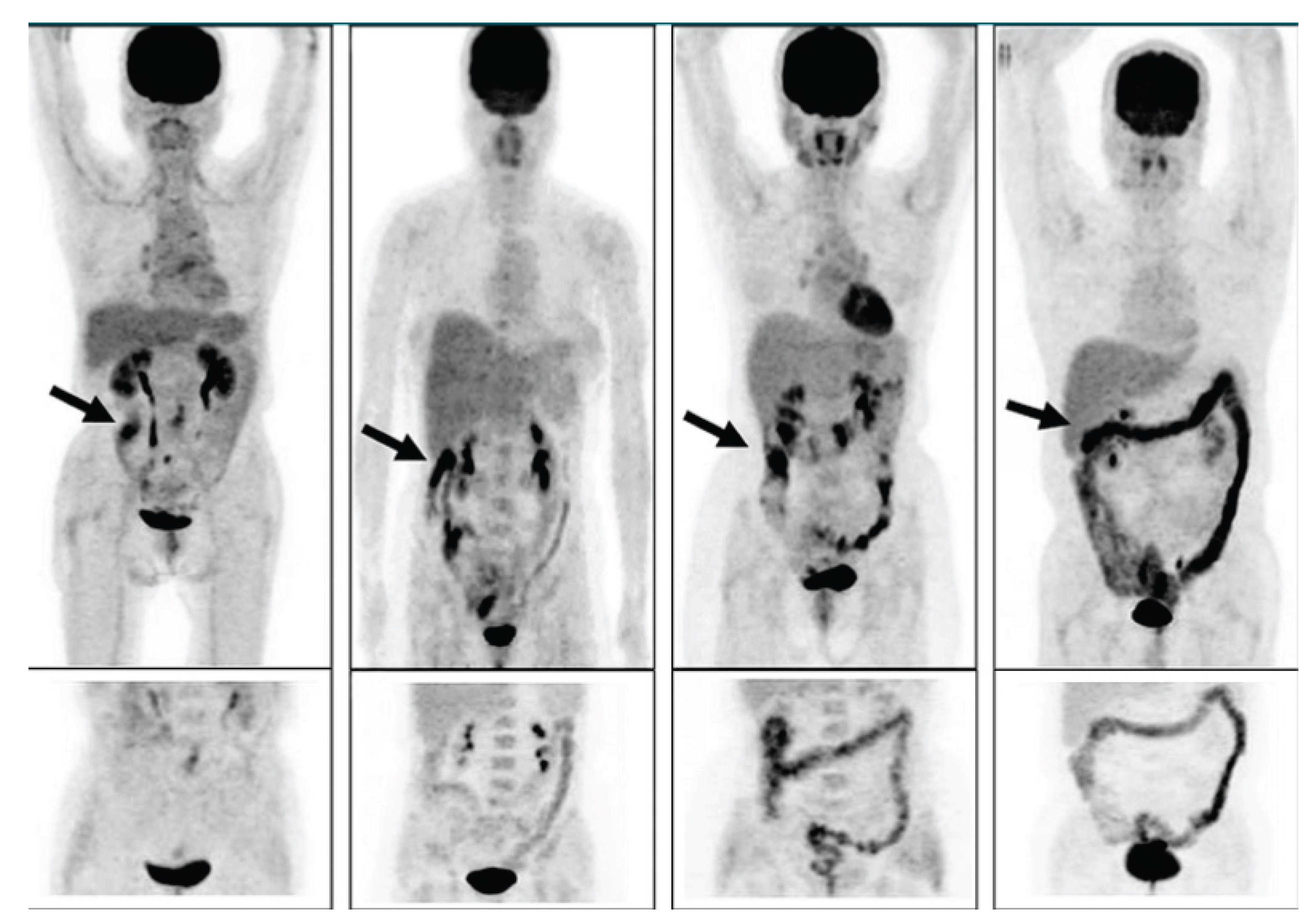 Preprints 161131 g004
