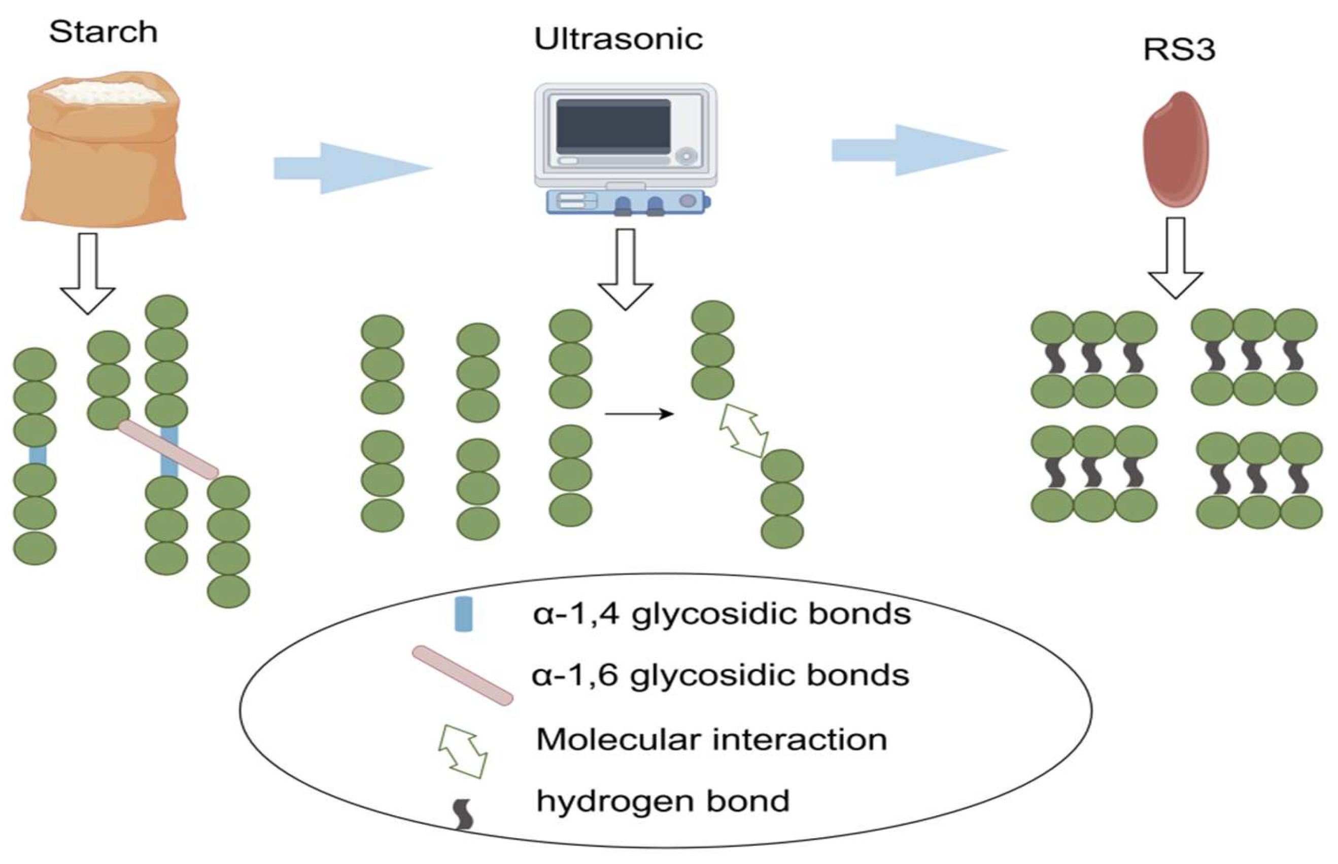 Preprints 144835 g001