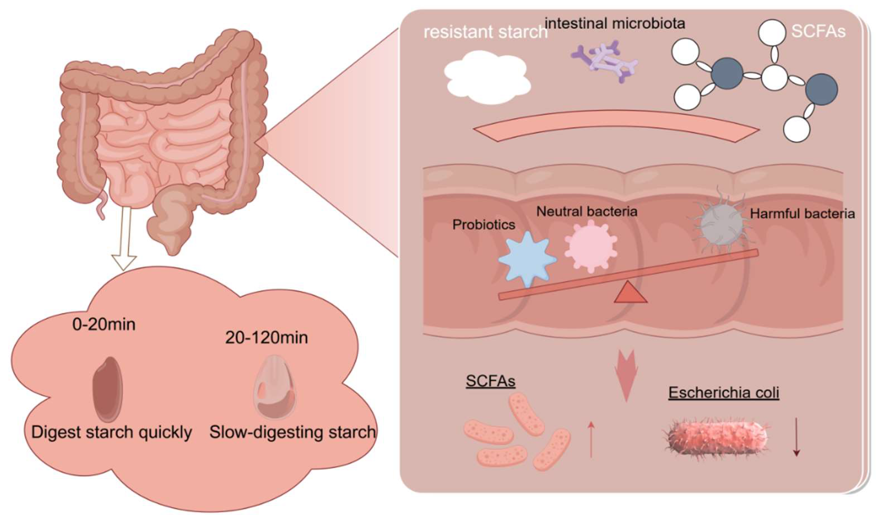Preprints 144835 g004