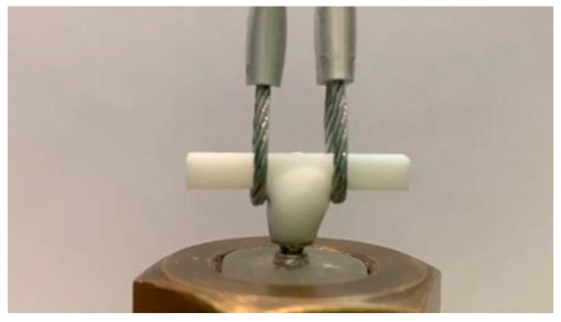 Preprints 157162 g002