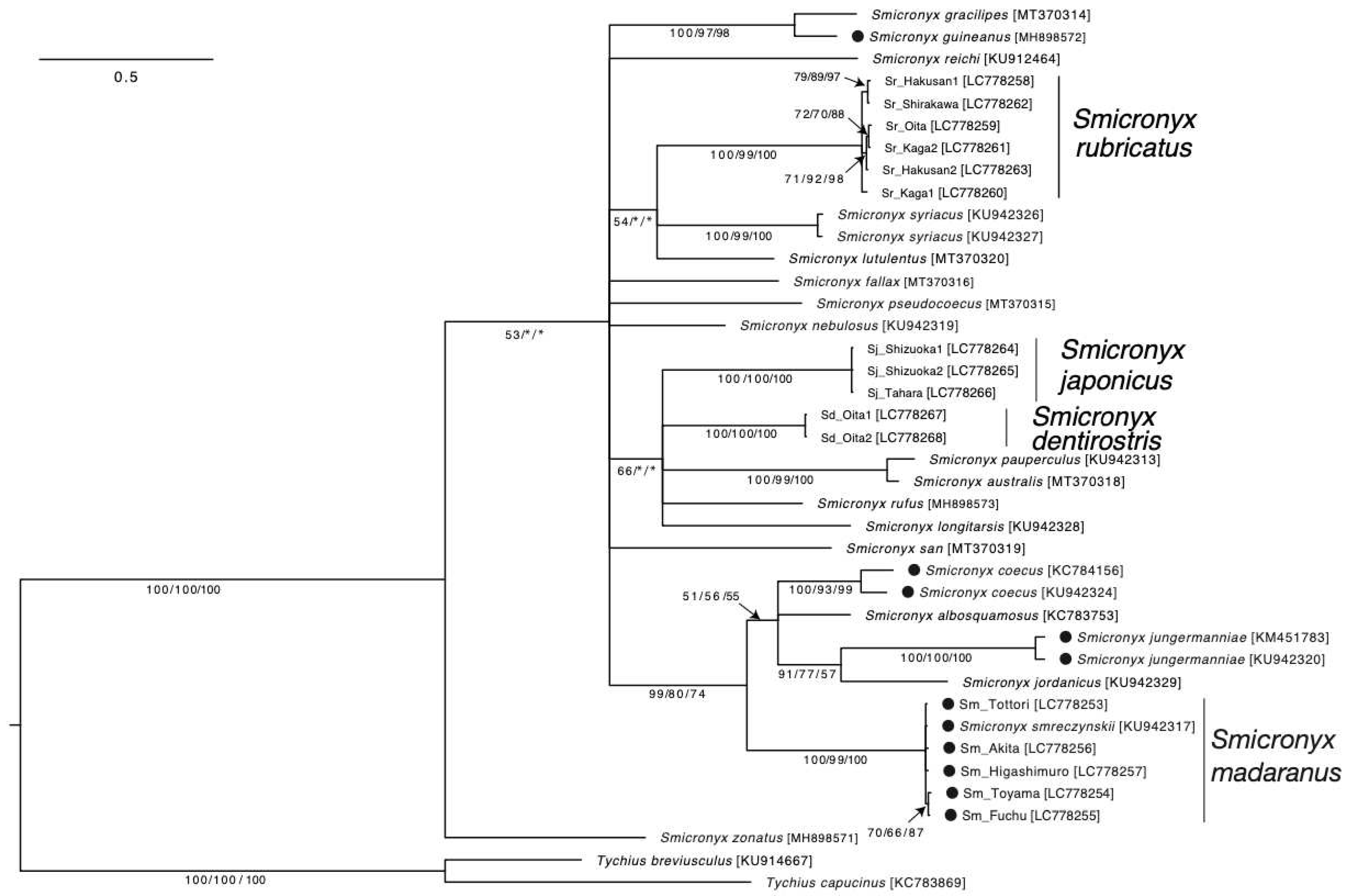 Preprints 92806 g003