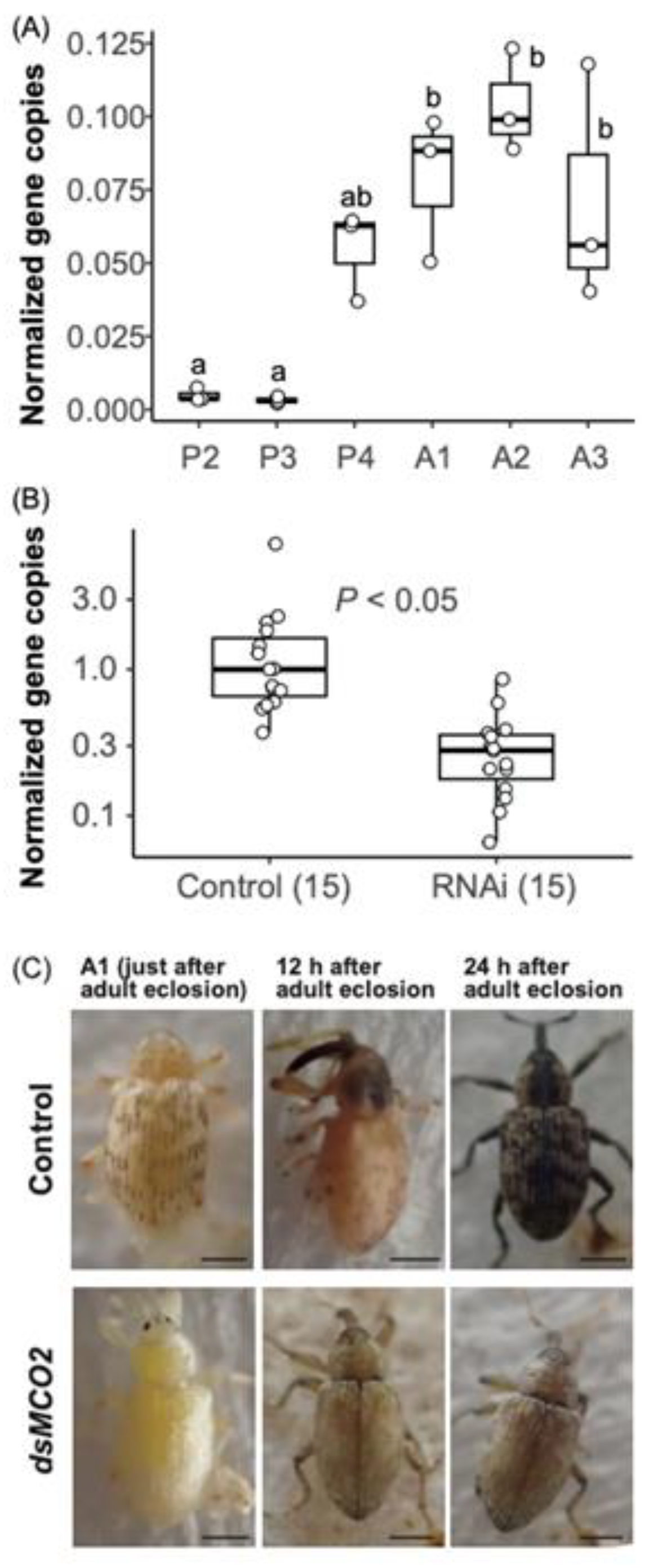 Preprints 92806 g004