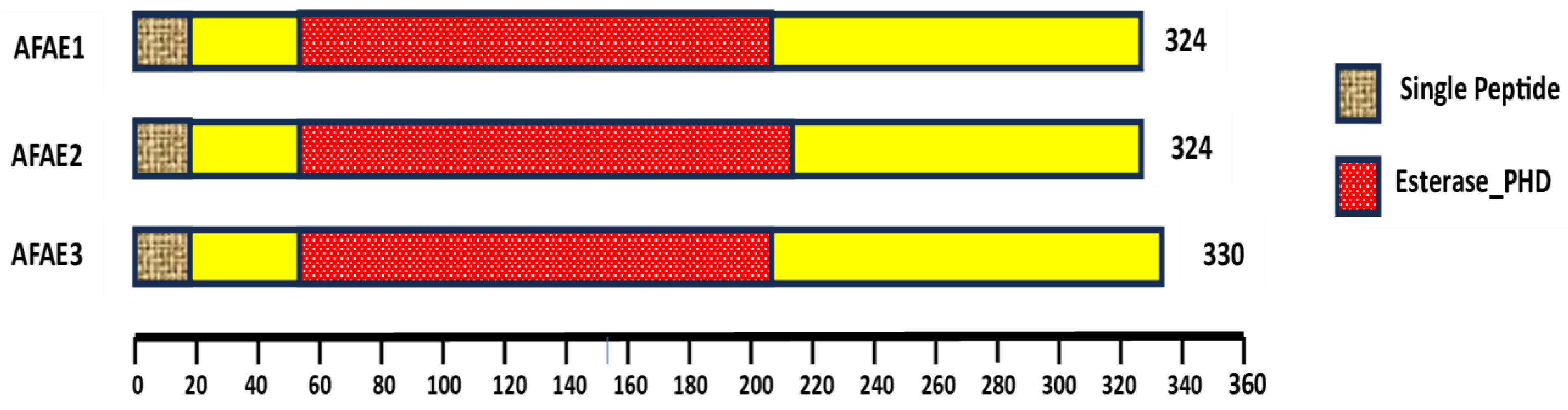 Preprints 156790 g002