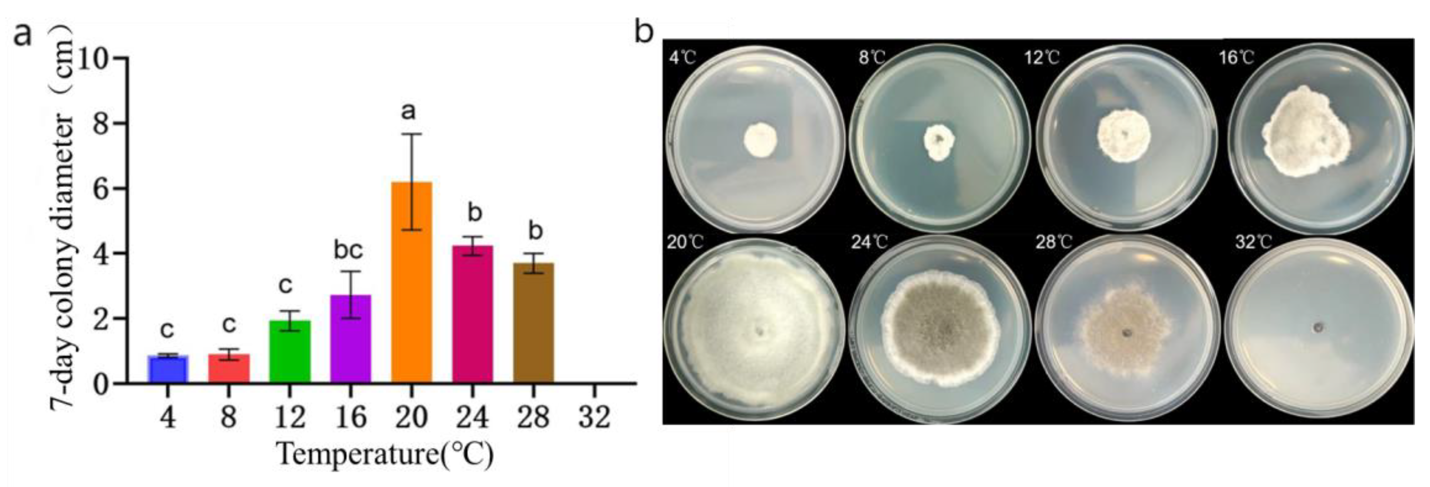 Preprints 105817 g007