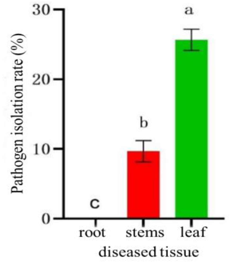 Preprints 105817 g010