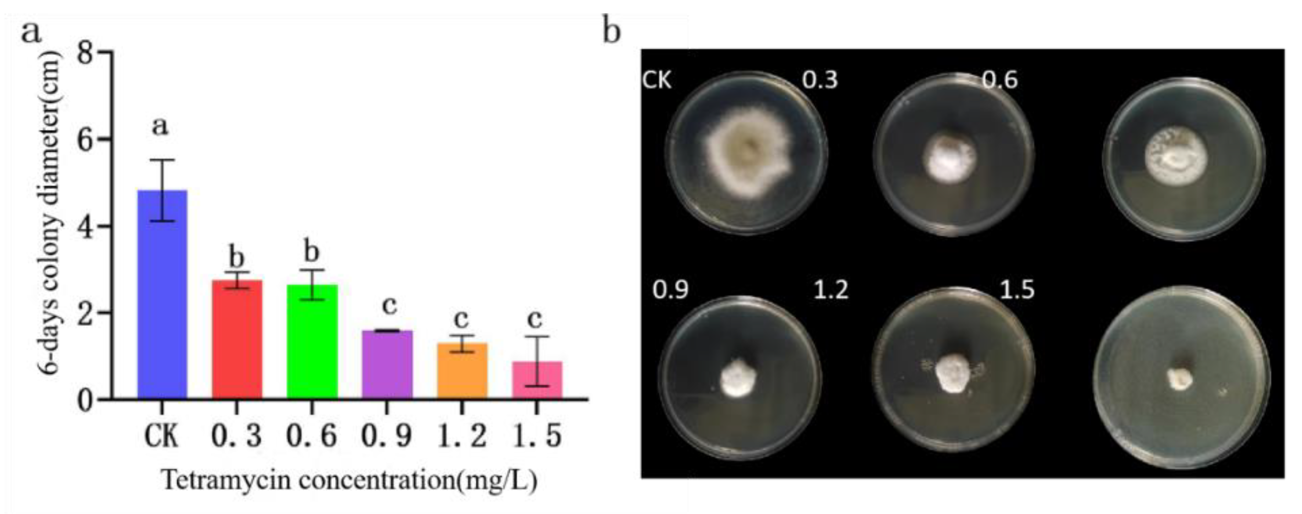 Preprints 105817 g013
